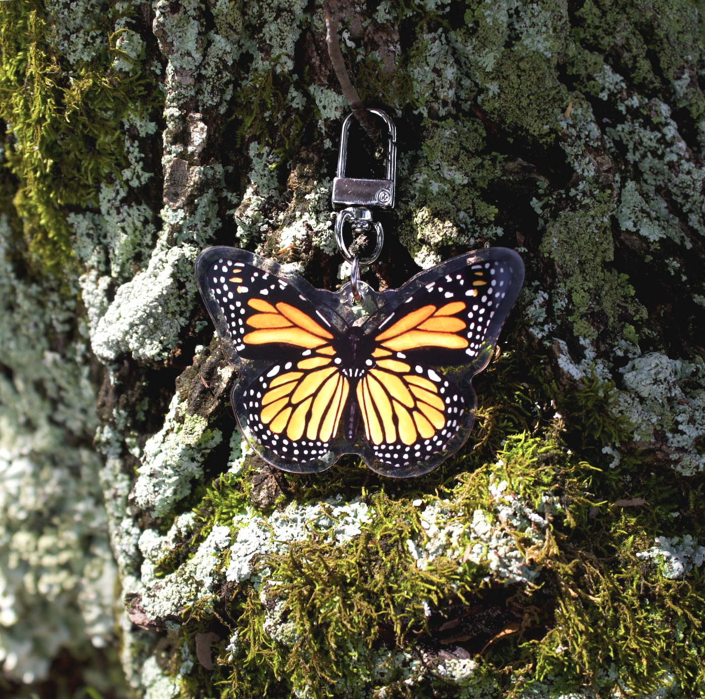 1.monarch-orange%21.png