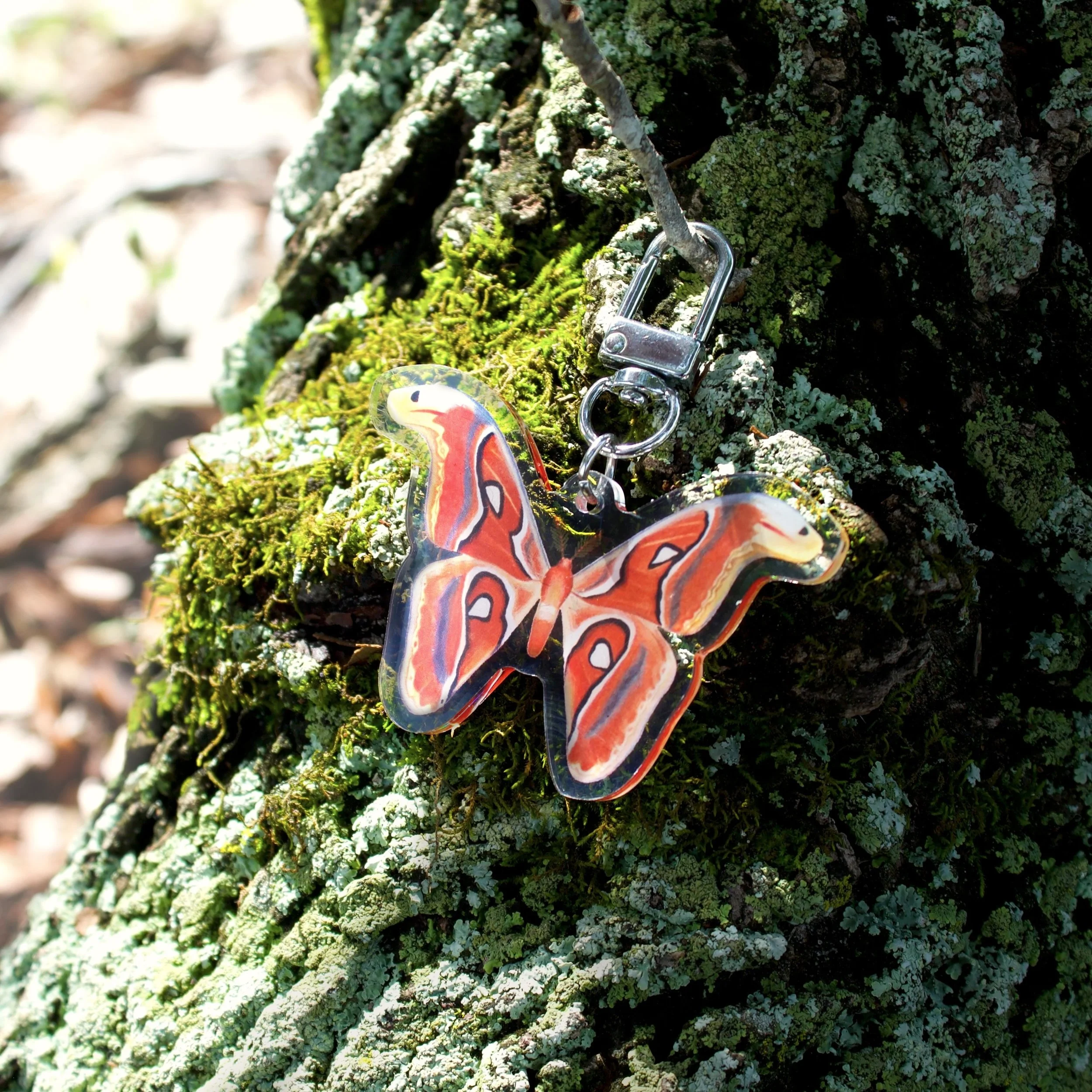 0.keychains2atlas-moth-1-tree_0699-small.jpg