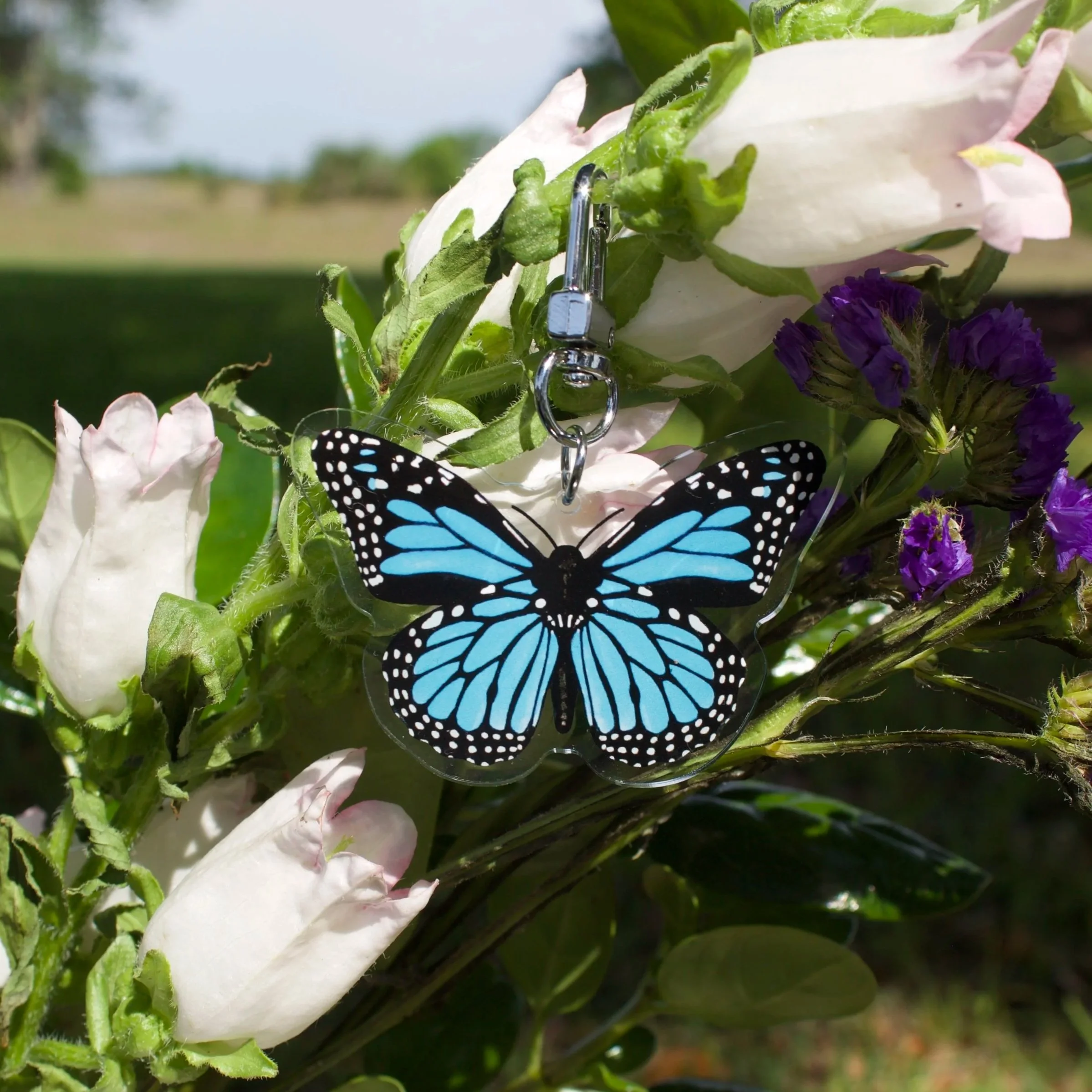 1.monarch-blue-flowers_0586.jpg