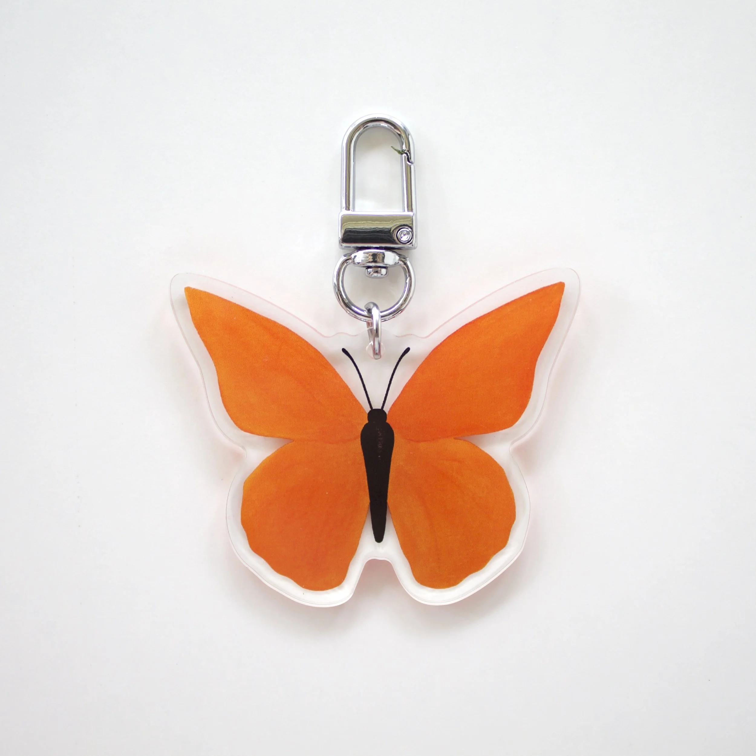 1.orange-on-white_0772.jpg