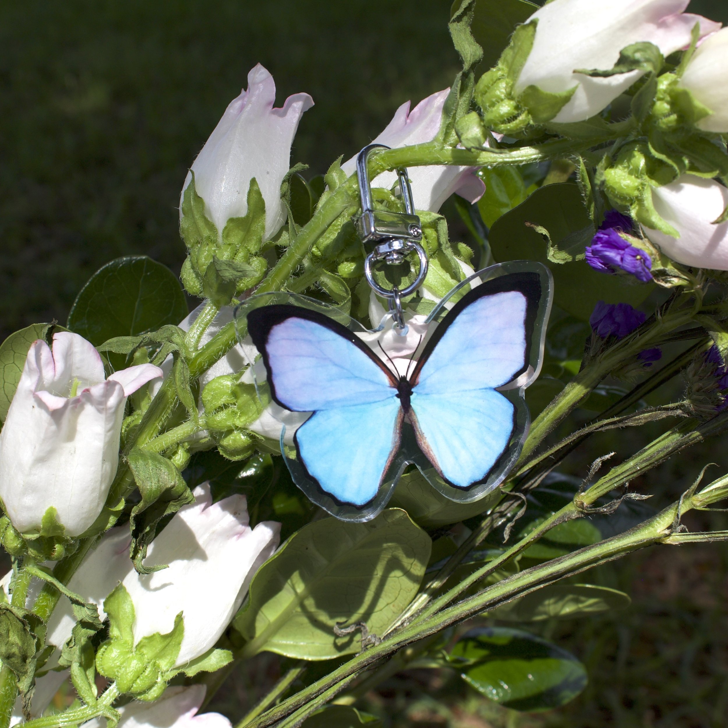 Morpho Butterfly Keychain