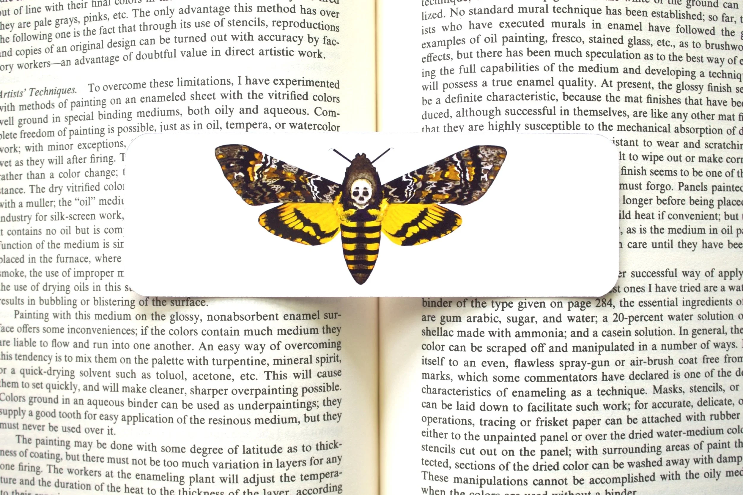 death%27s+head+hawkmoth.jpg