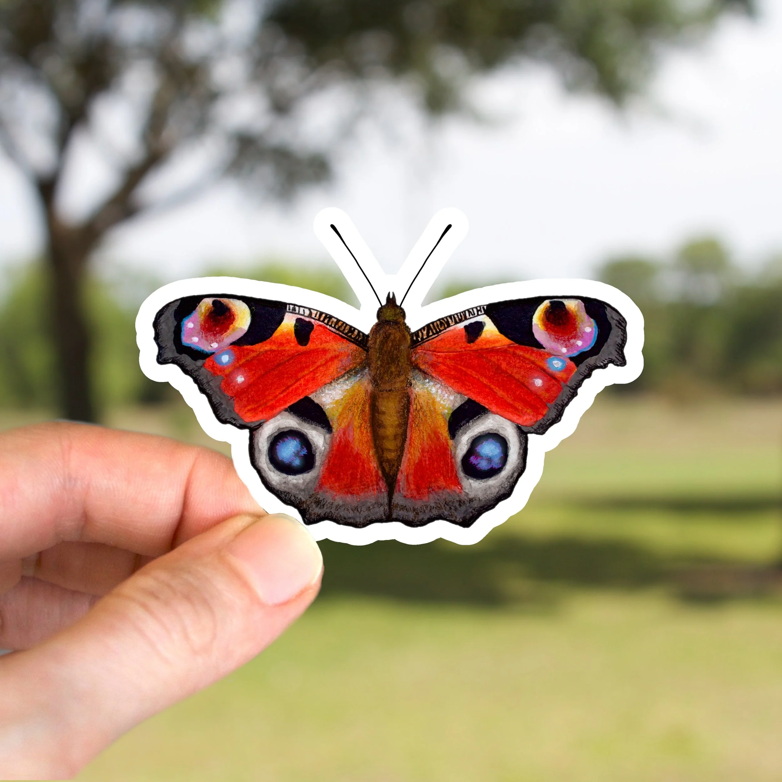 Peacock Butterfly Sticker
