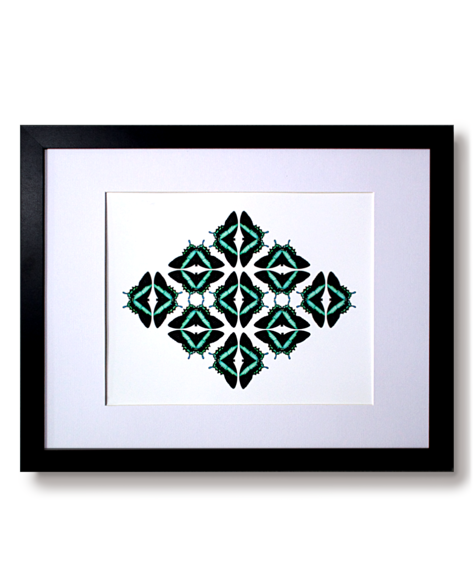 Geometric Butterflies