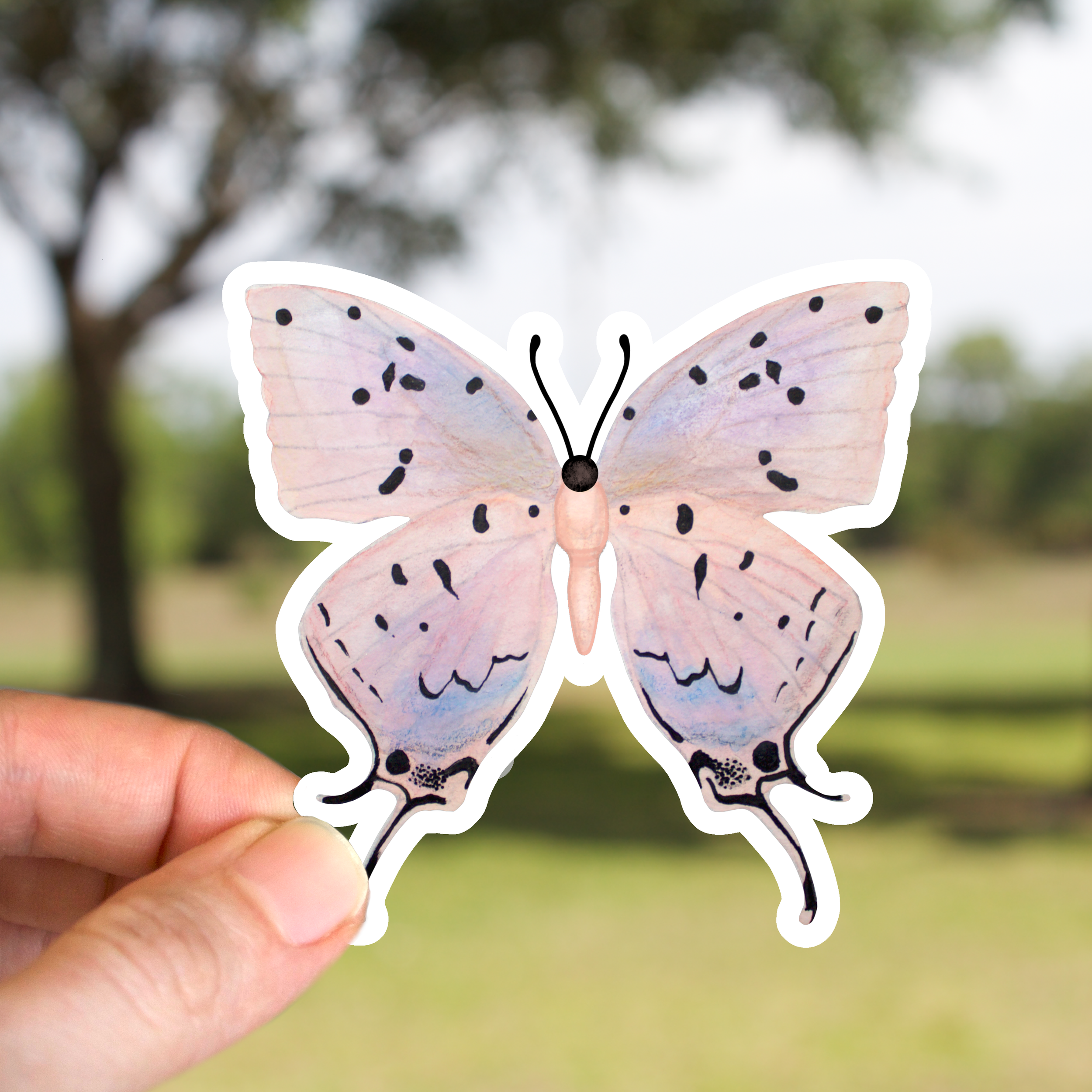 Sky-Blue Hairstreak Butterfly Sticker