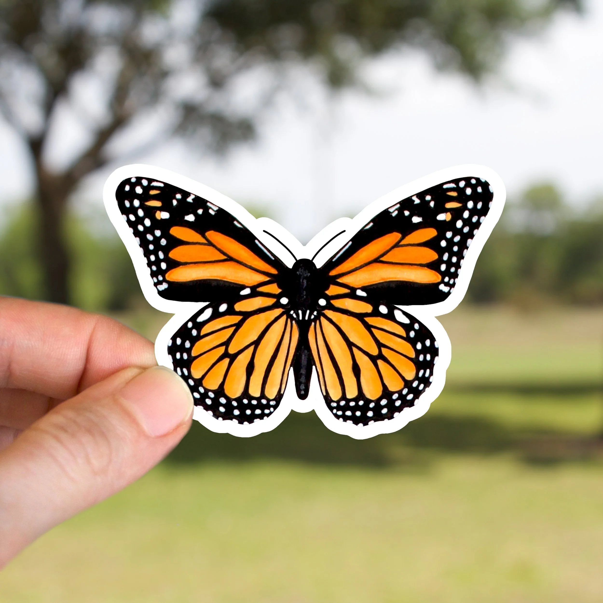 Monarch Butterfly Sticker