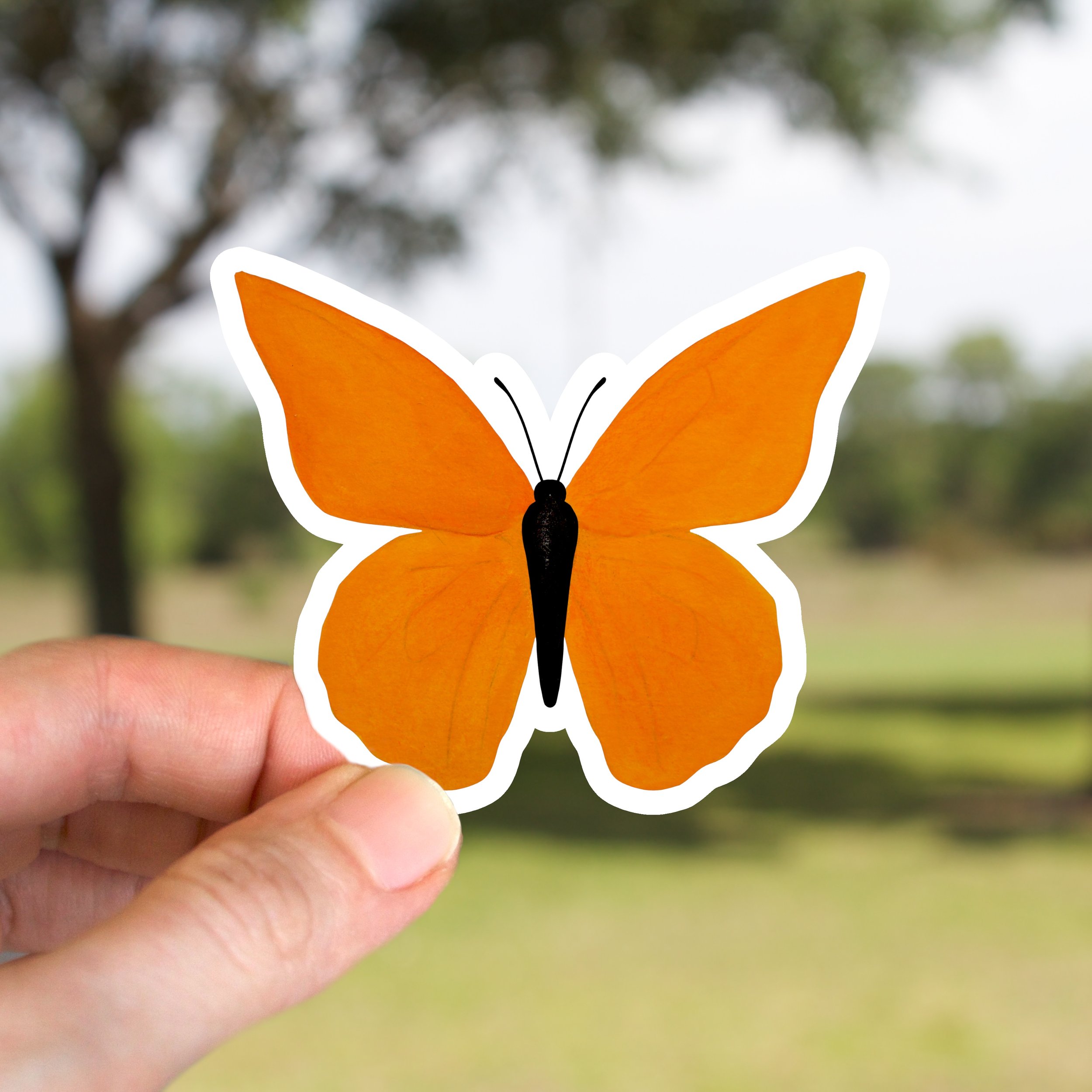 Orange Butterfly Sticker