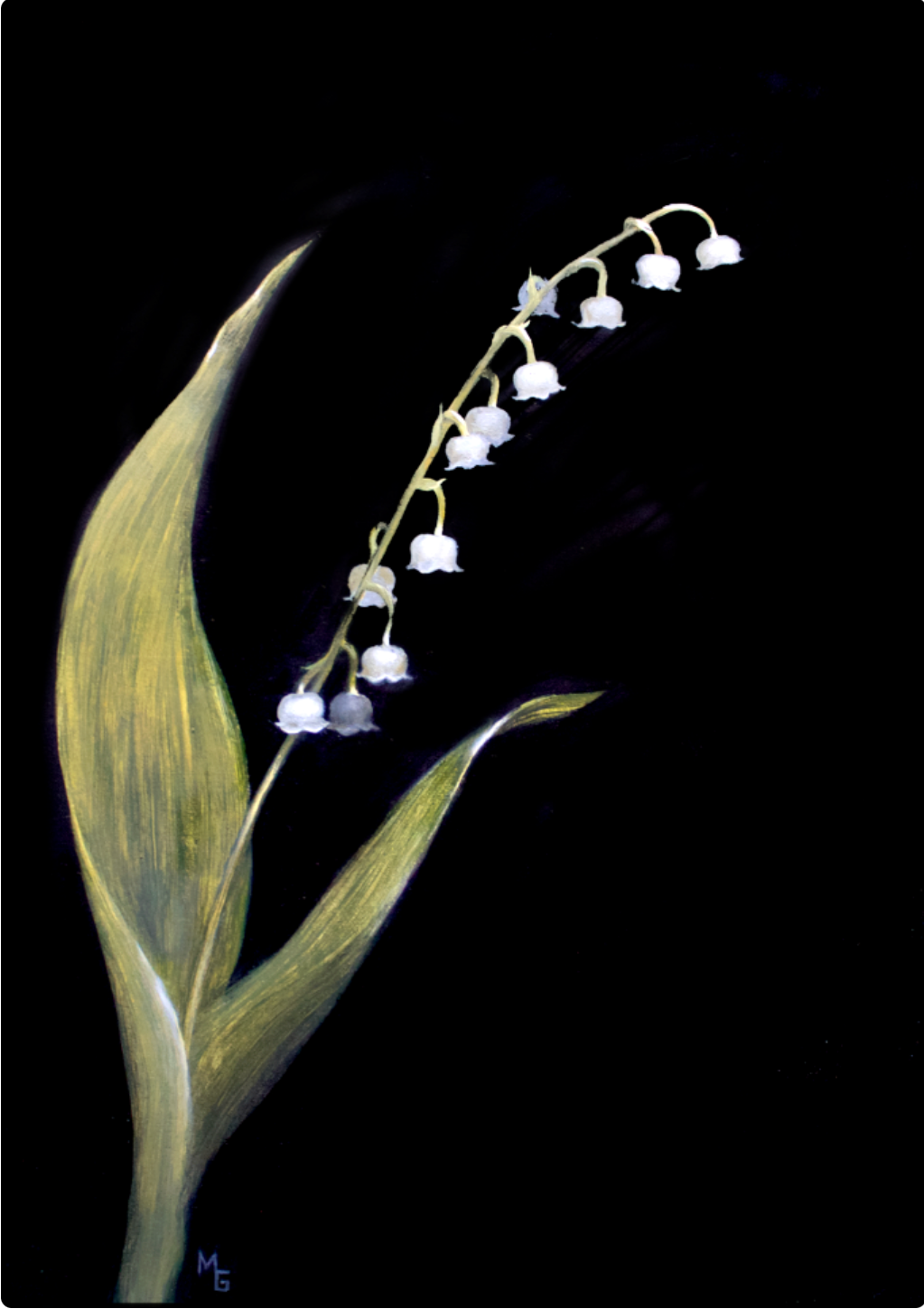 Lily of the Valley