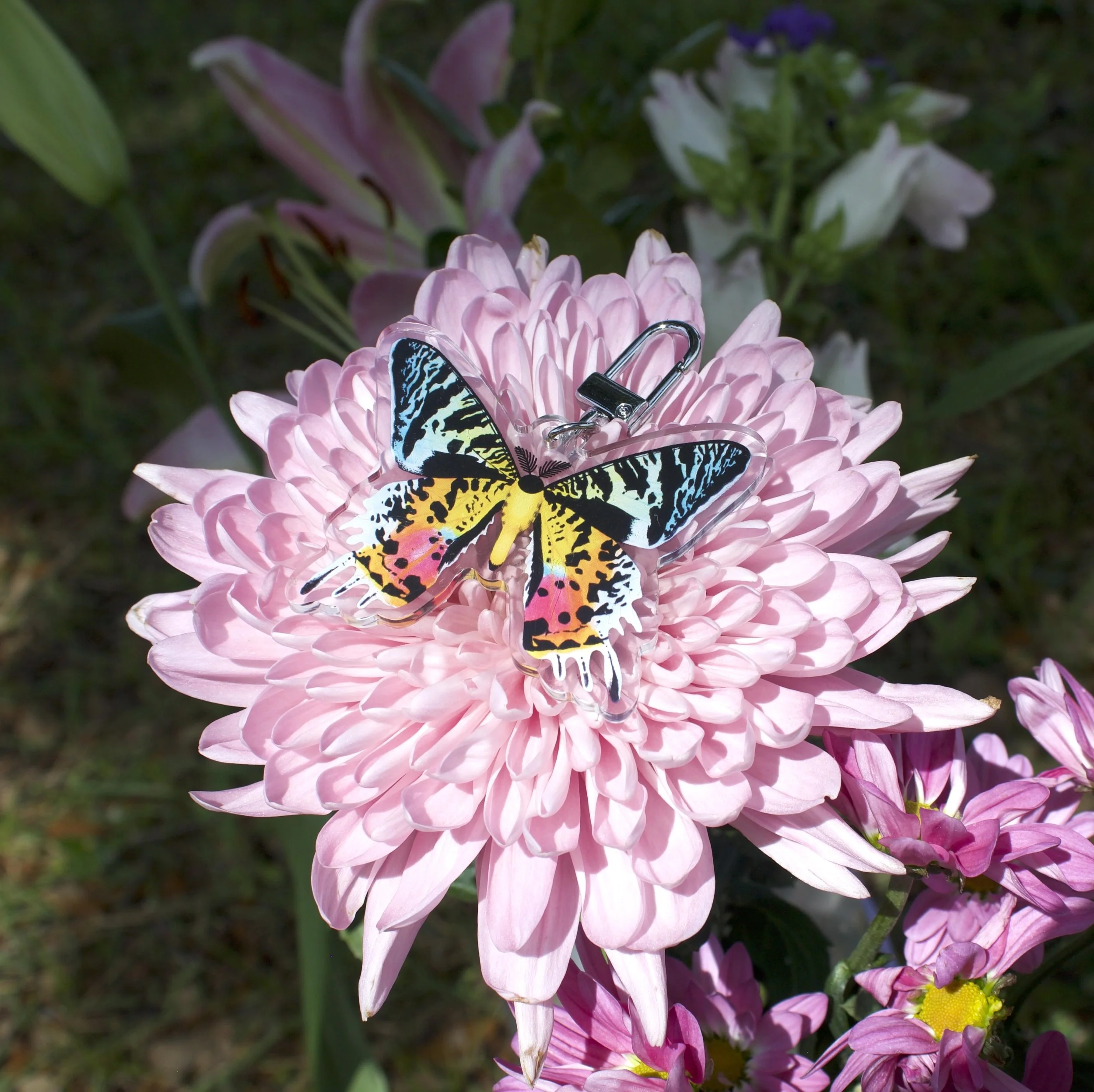 African Sunset Moth Keychain