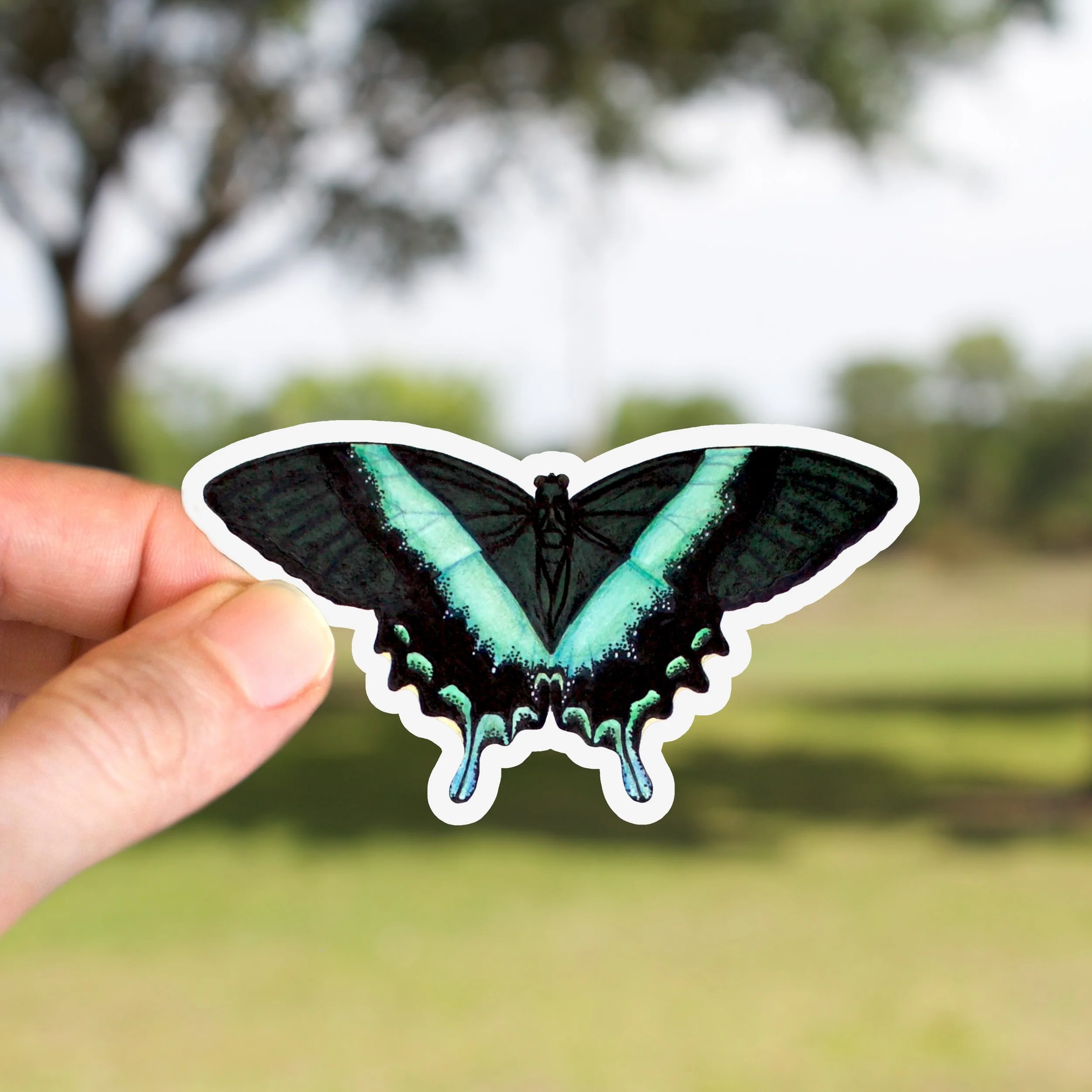 Emerald Swallowtail Butterfly Sticker