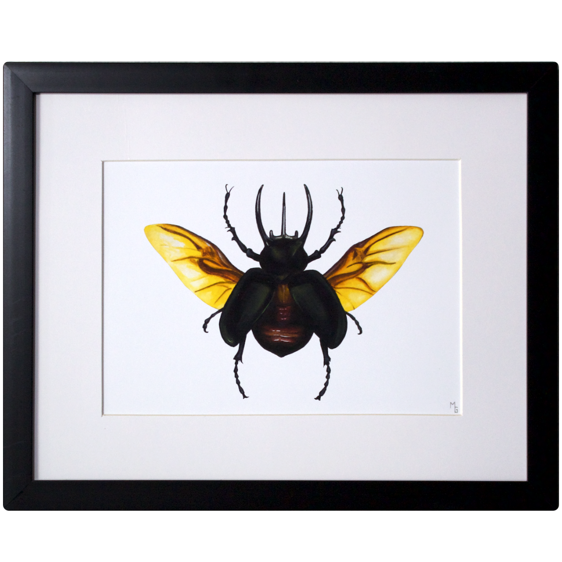 "Atlas Beetle" Print