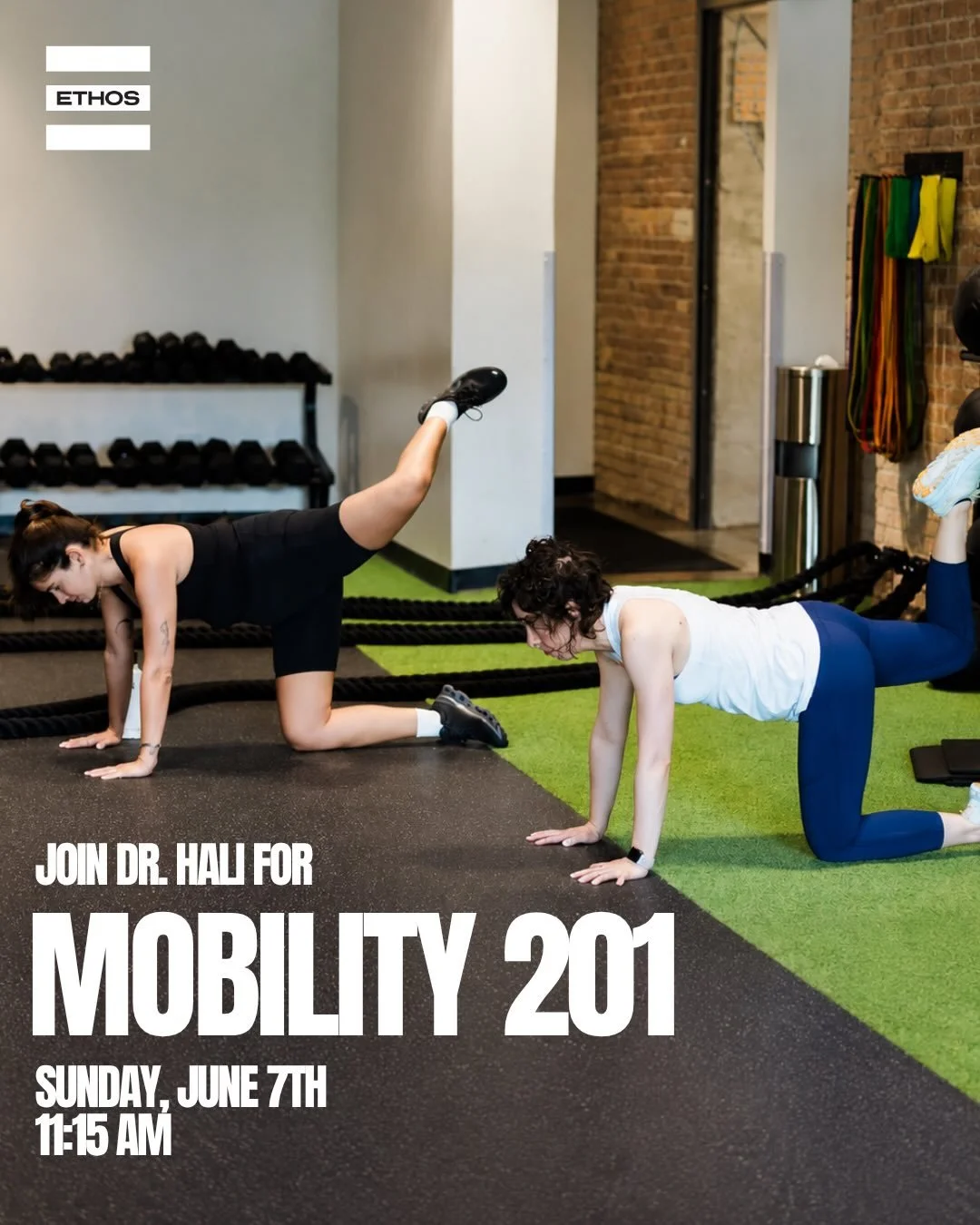 Join our chiropractor, Dr. Hali, and build on the foundations from Mobility 101. 

Less mindless stretching. 
More intentional movement. 
Same amount of yapping. 

Sign up available in app or online.