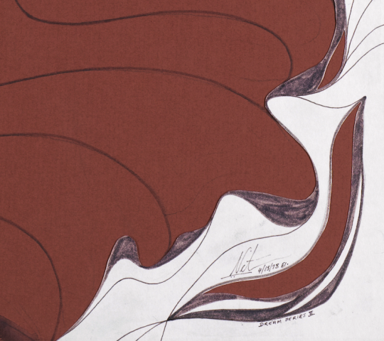 dream-I-artwork-by-nitin-banwar-4-620a6fc9d9426-b3cdb4b87fa0677aff1b4610194a205e.png