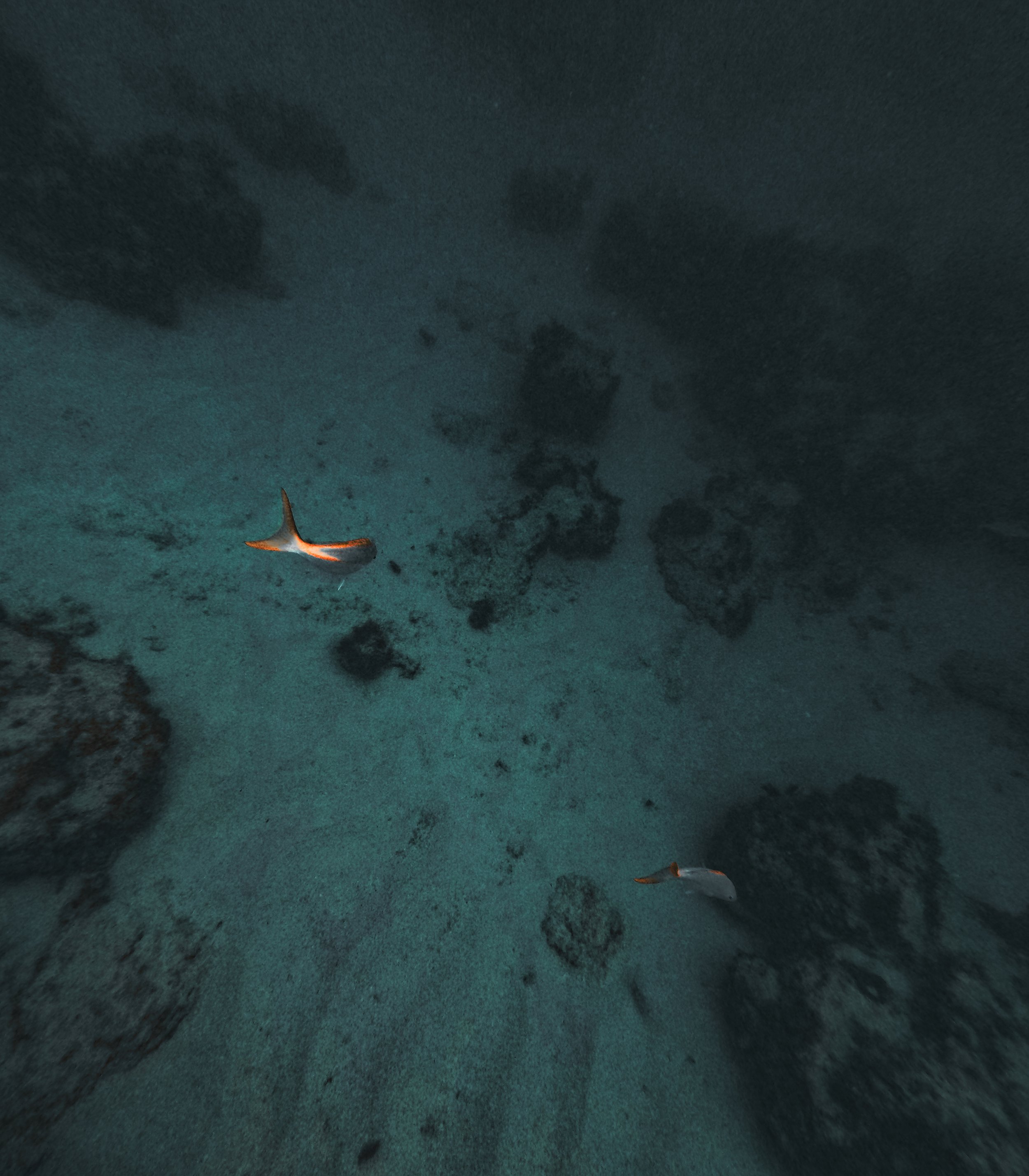 GOPR7047.jpg