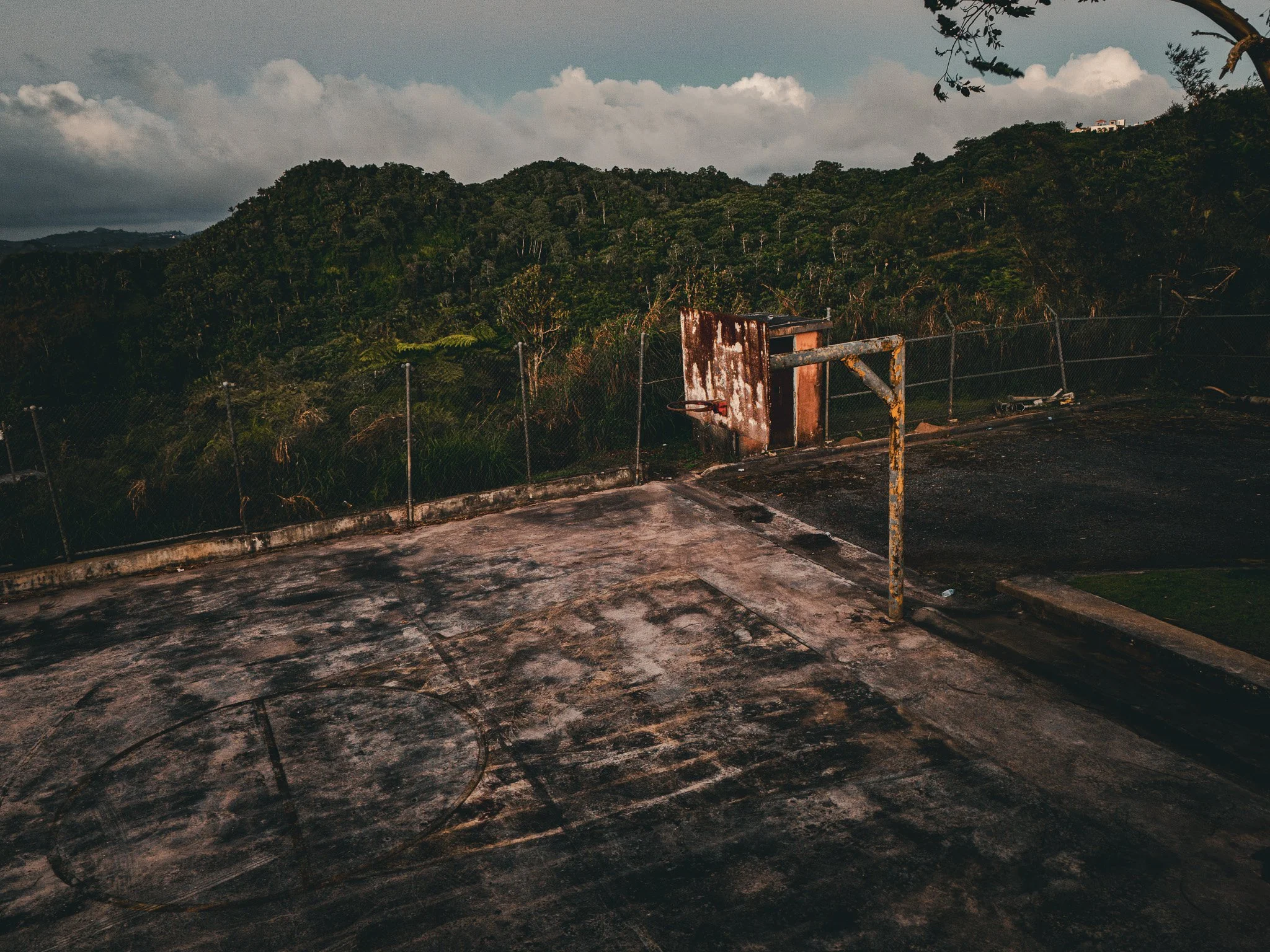 DJI_20250120162355_0129_D-Enhanced-NR.jpg