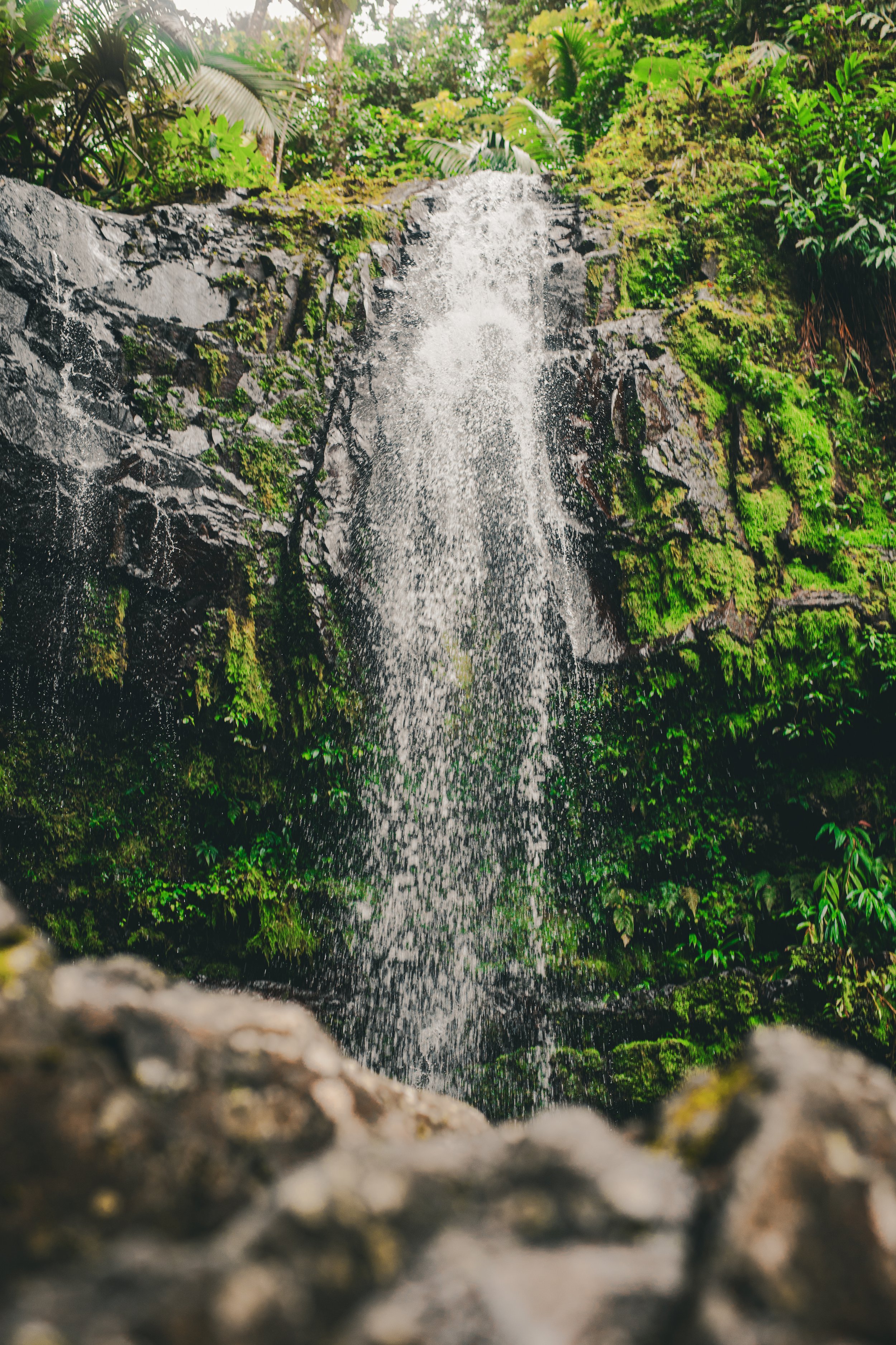 1F0A9558-2.jpg