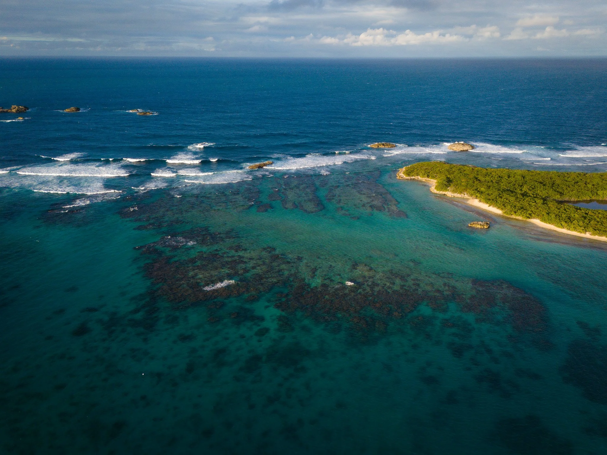 DJI_20250124152539_0308_D.jpg