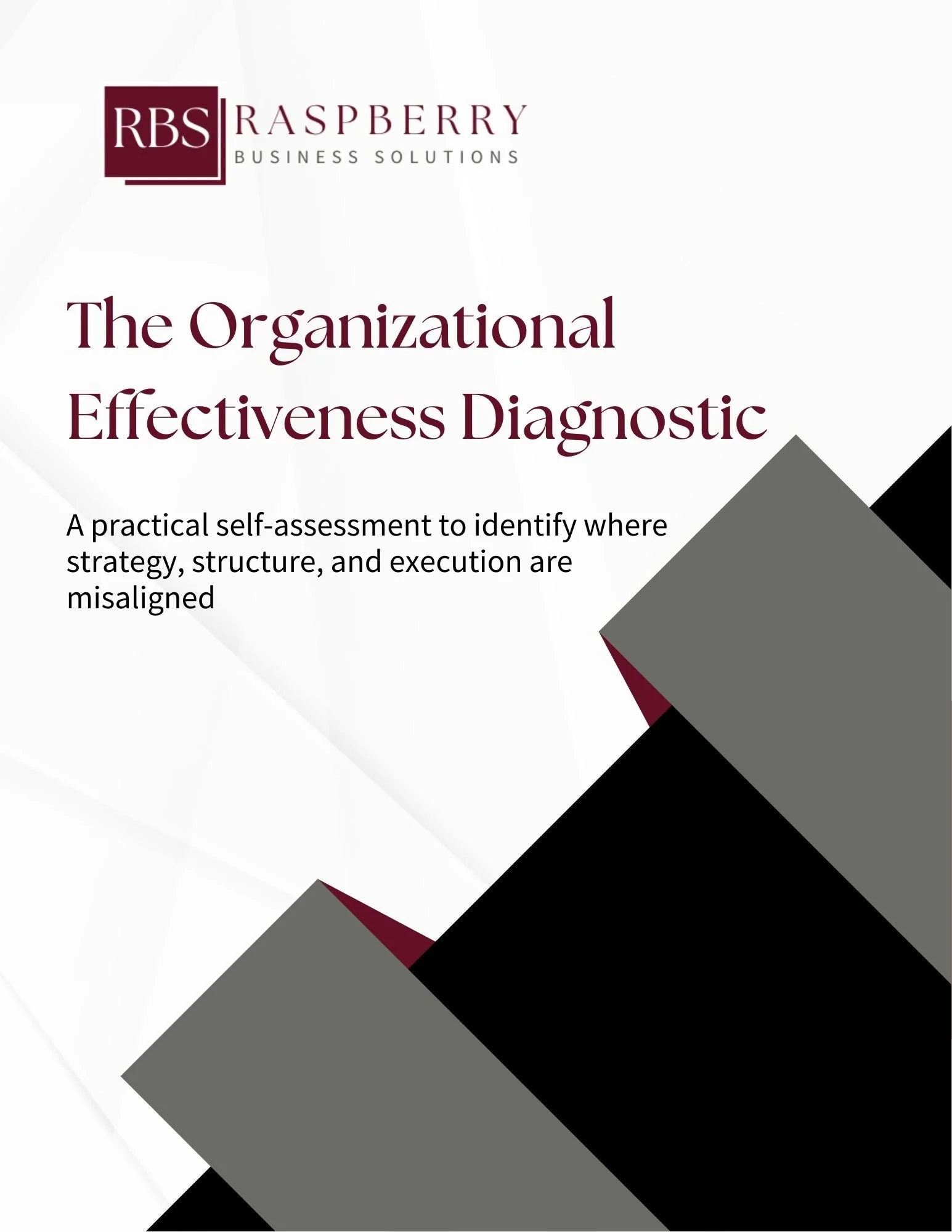 Cover of a report titled 'The Organizational Effectiveness Diagnostic' by RBS Raspberry Business Solutions, with geometric black, gray, and maroon shapes.