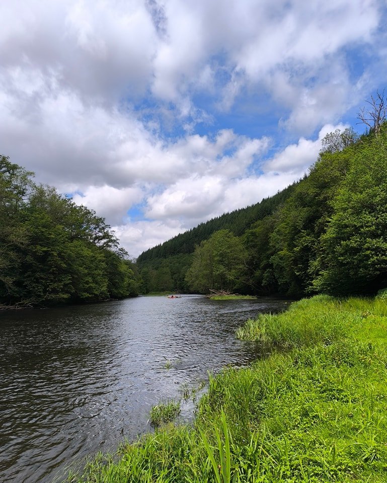 🌲🌿 On an adventure in La Roche-en-Ardenne! 🌄🍃

Forests, rocks, babbling streams and breathtaking panoramas.... La Roche-en-Ardenne has it all! 😍 Put on your hiking boots and discover this beautiful piece of nature with one of the hikes on our Ro