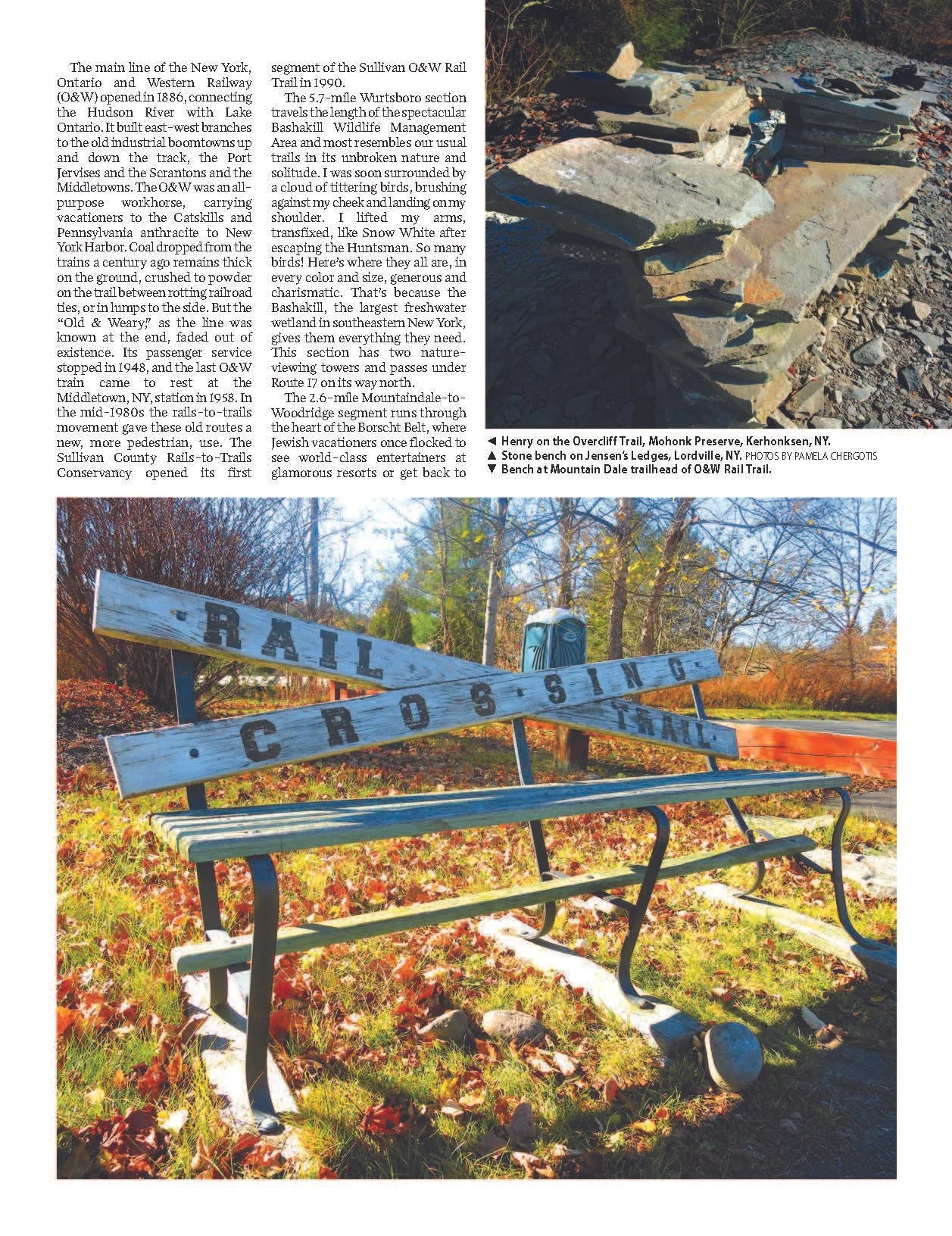 010125_DIRT-Dummy 1--23.jpg