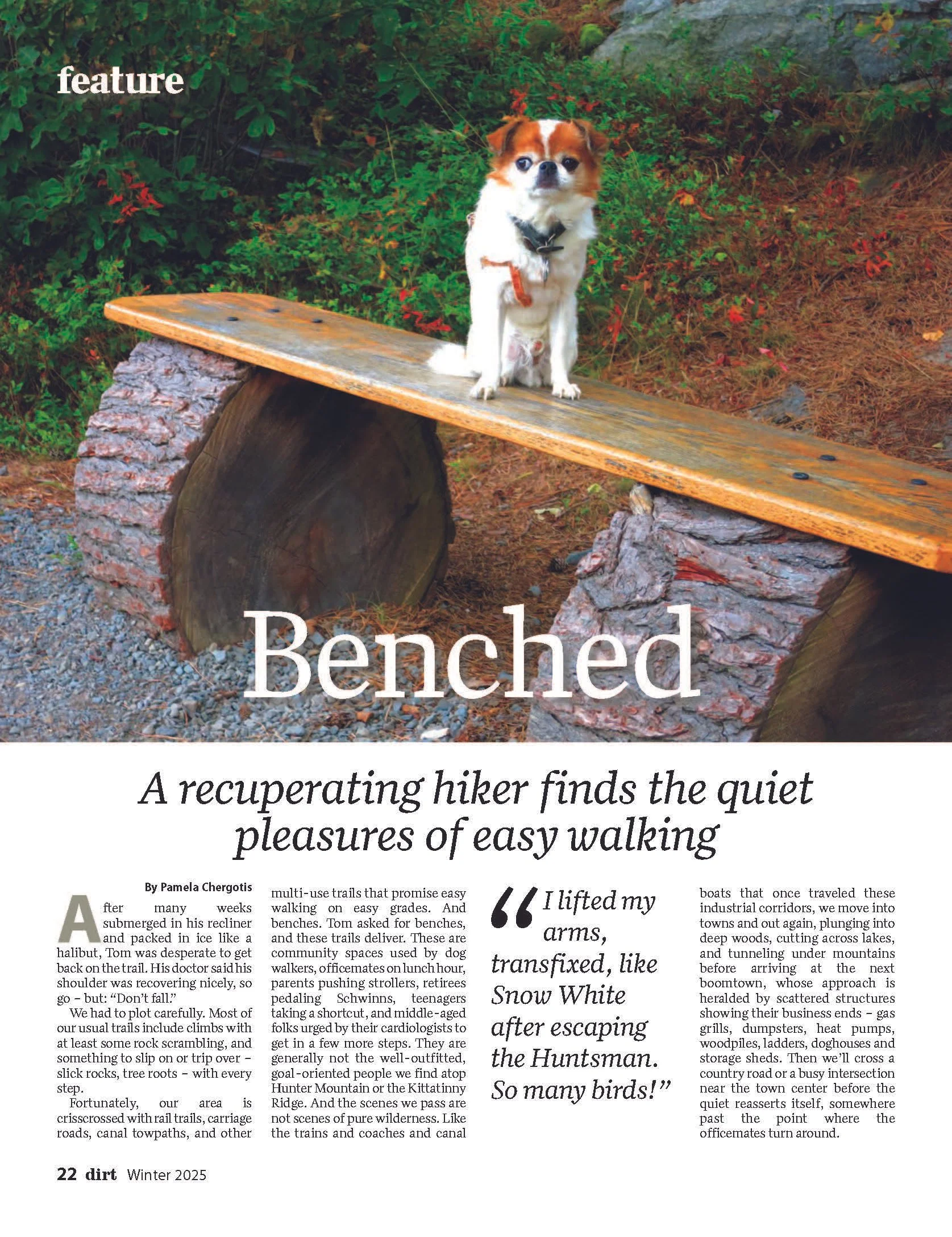 010125_DIRT-Dummy 1--22.jpg