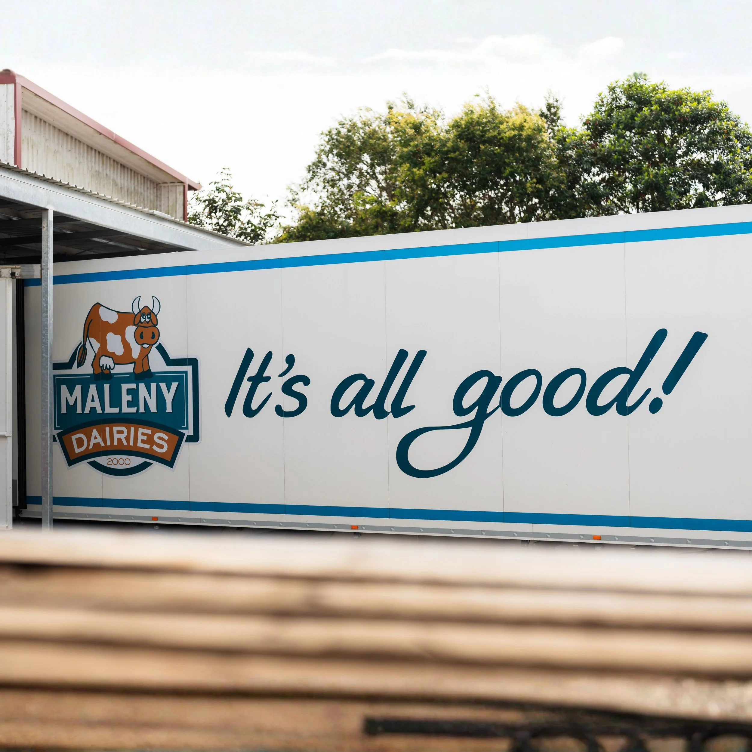Maleny Cover.jpg