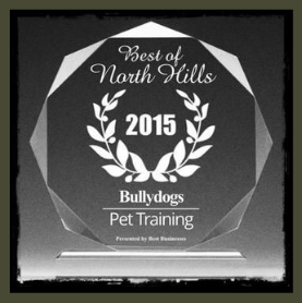 Best Dog Trainer award