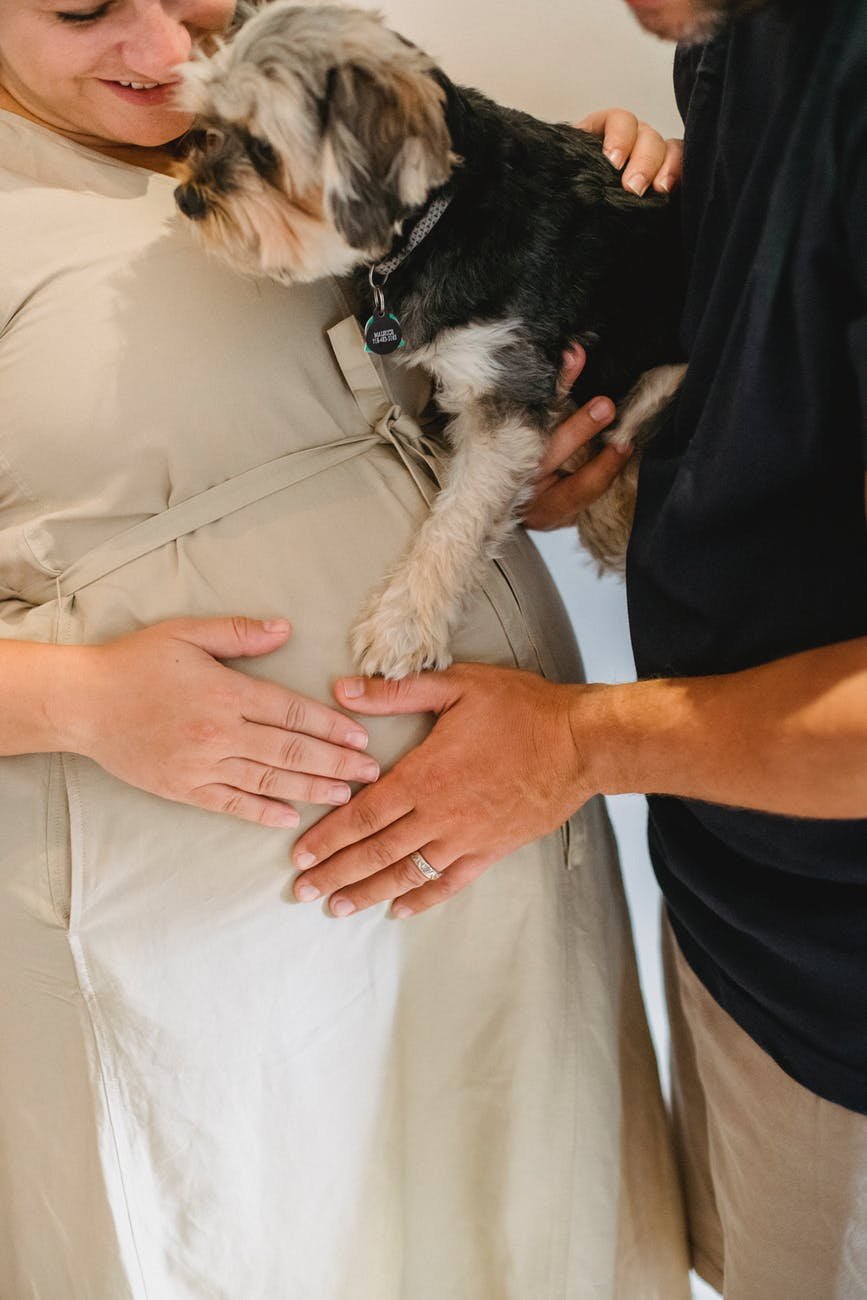 Transition to Parenthood