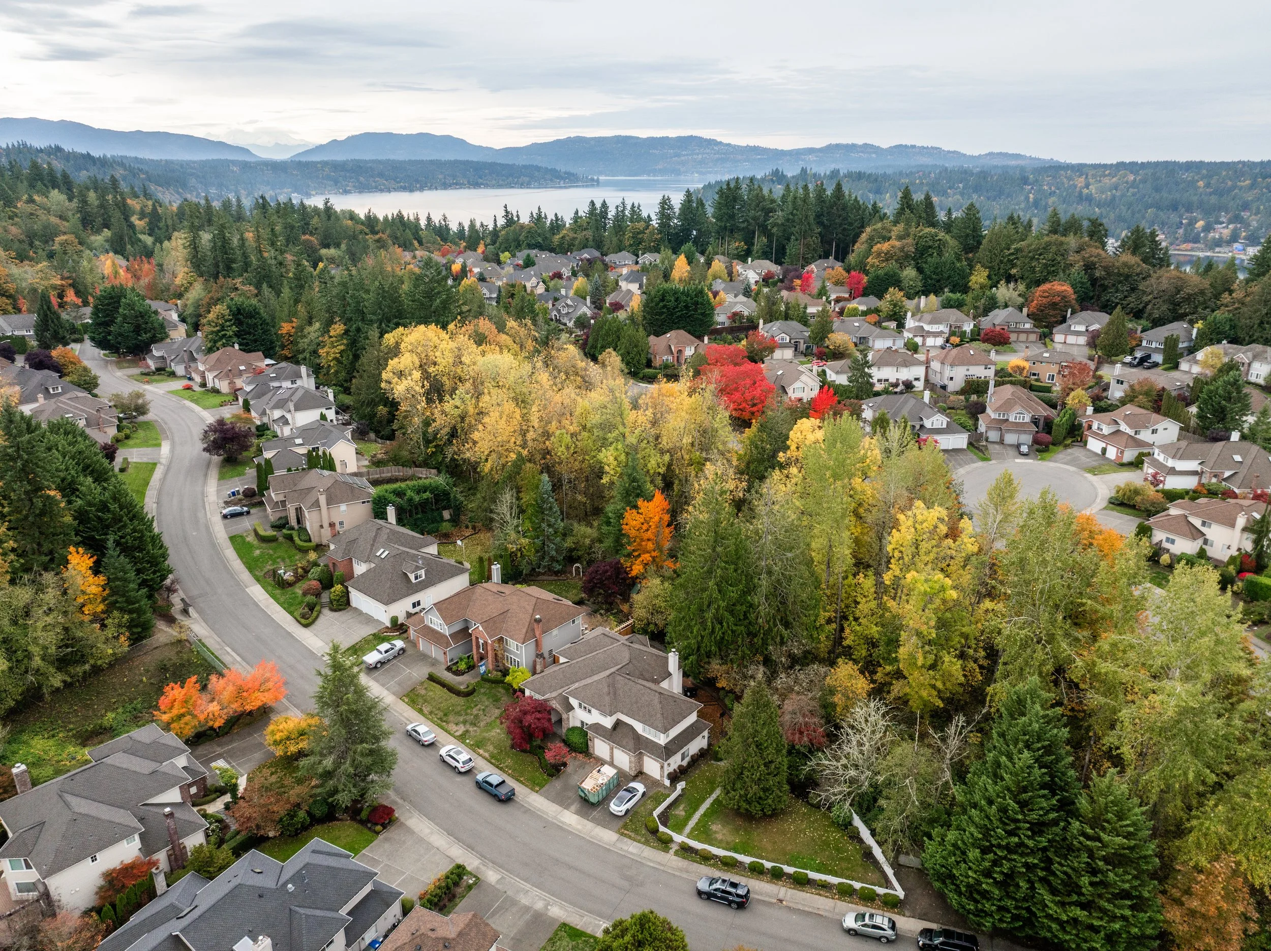 DJI_0156-1.jpg