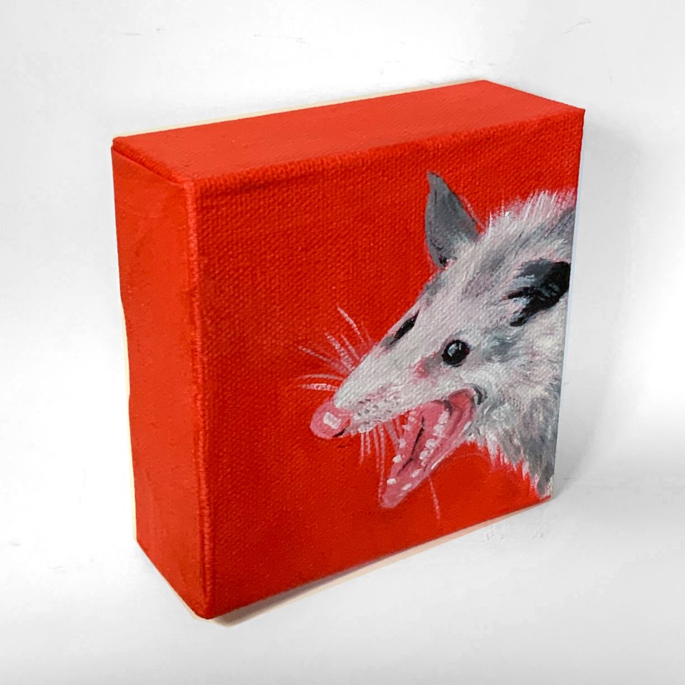possum2.jpg