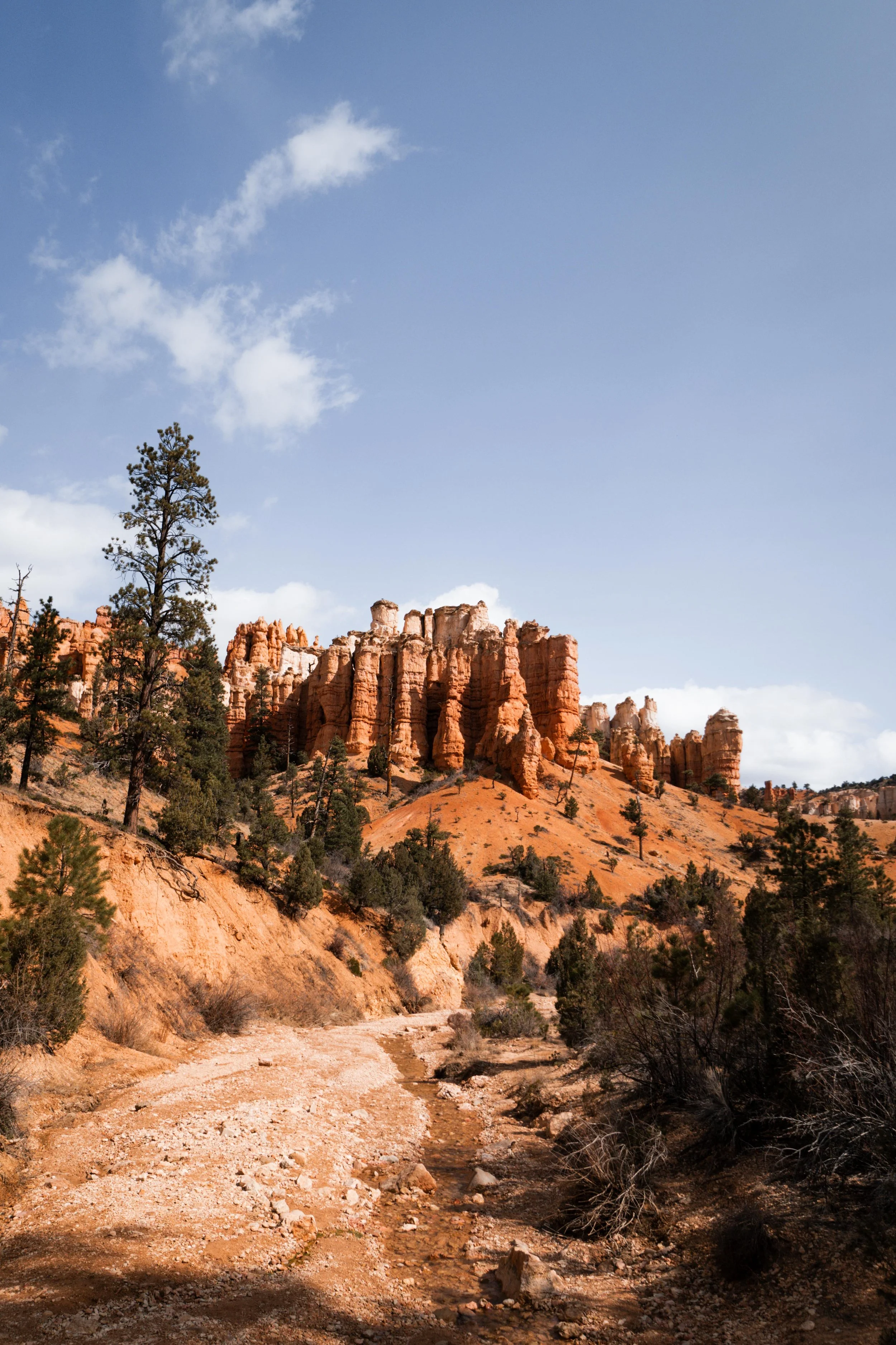 Clear Sky Resorts - Bryce Canyon-21.jpg