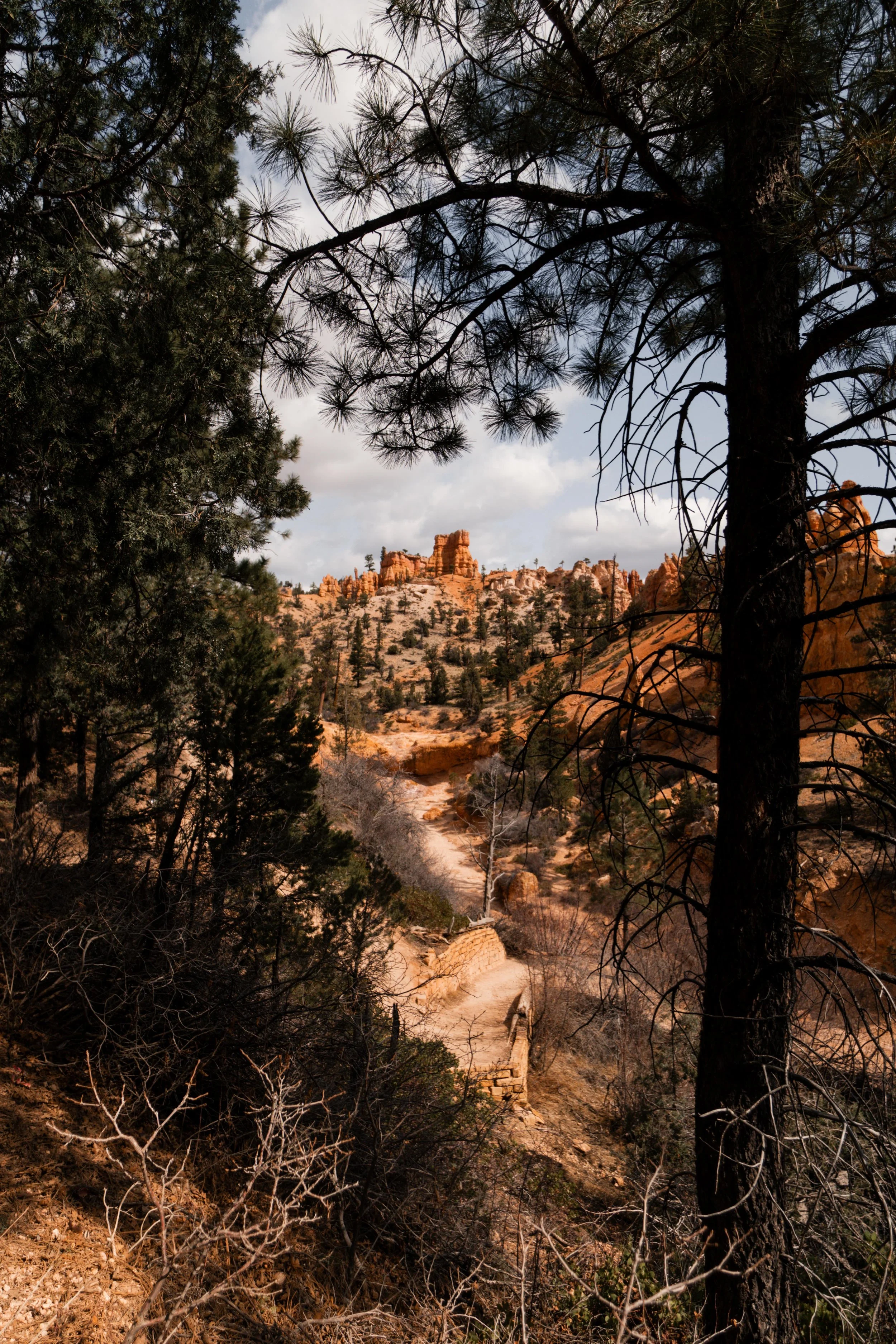 Clear Sky Resorts - Bryce Canyon-22.jpg