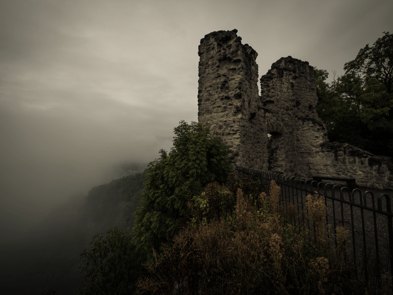 23.06.2026 | Tagesfahrt zum Drachenfels