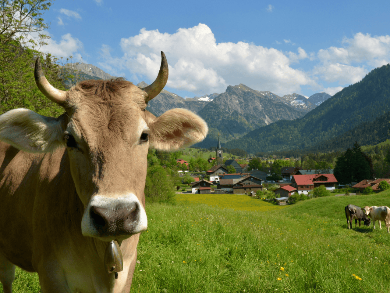 07. -12. Juni 2026 | Sommerfahrt nach Bad Hindelang