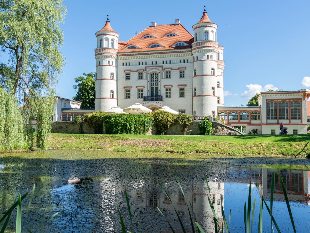 Beitragsbild Website-1-Beitragsbild Website (11).png