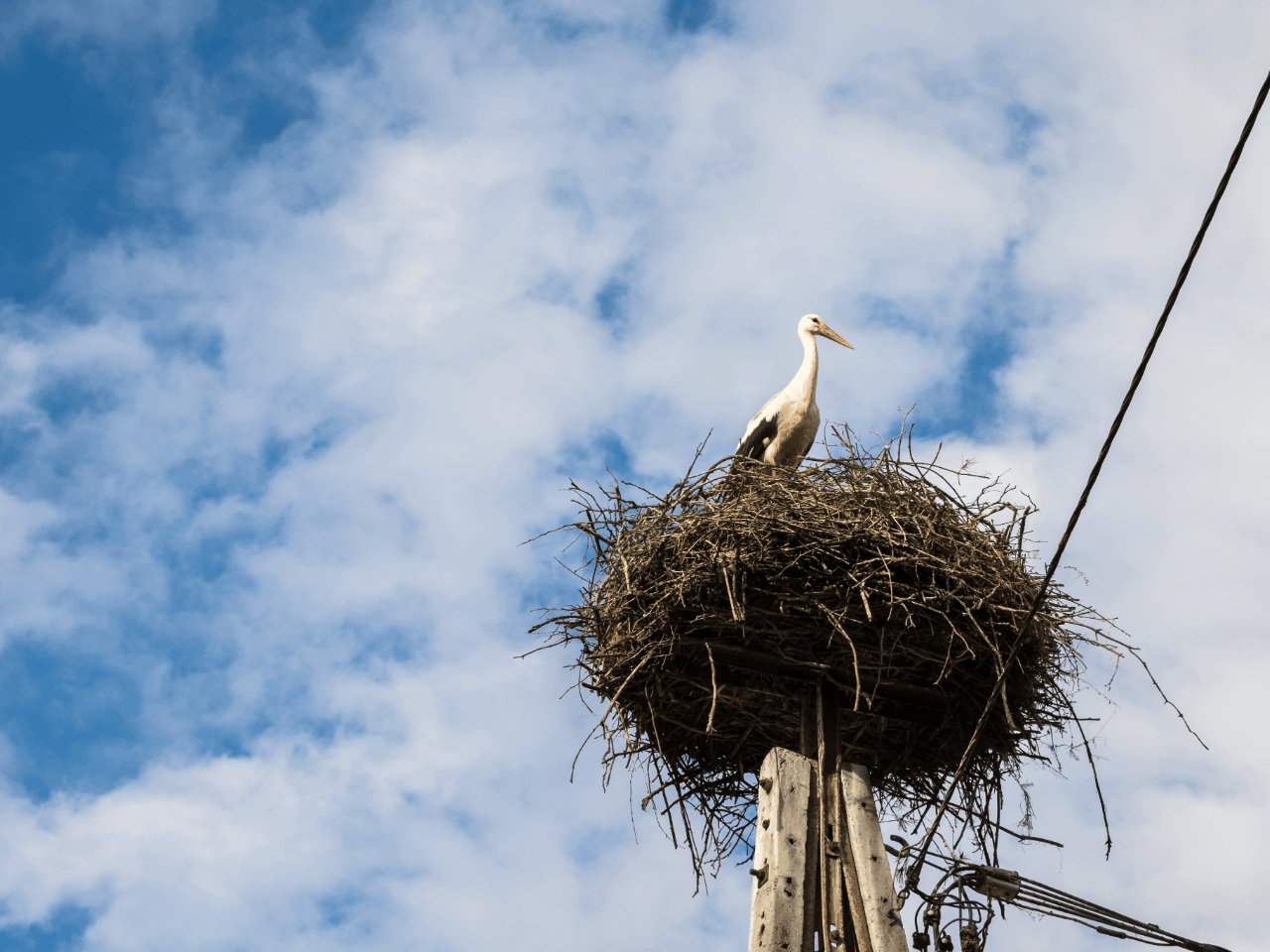 14. - 20.06.2026 | Schlesien erleben mit unserem Osteuropa-Spezialisten Warias