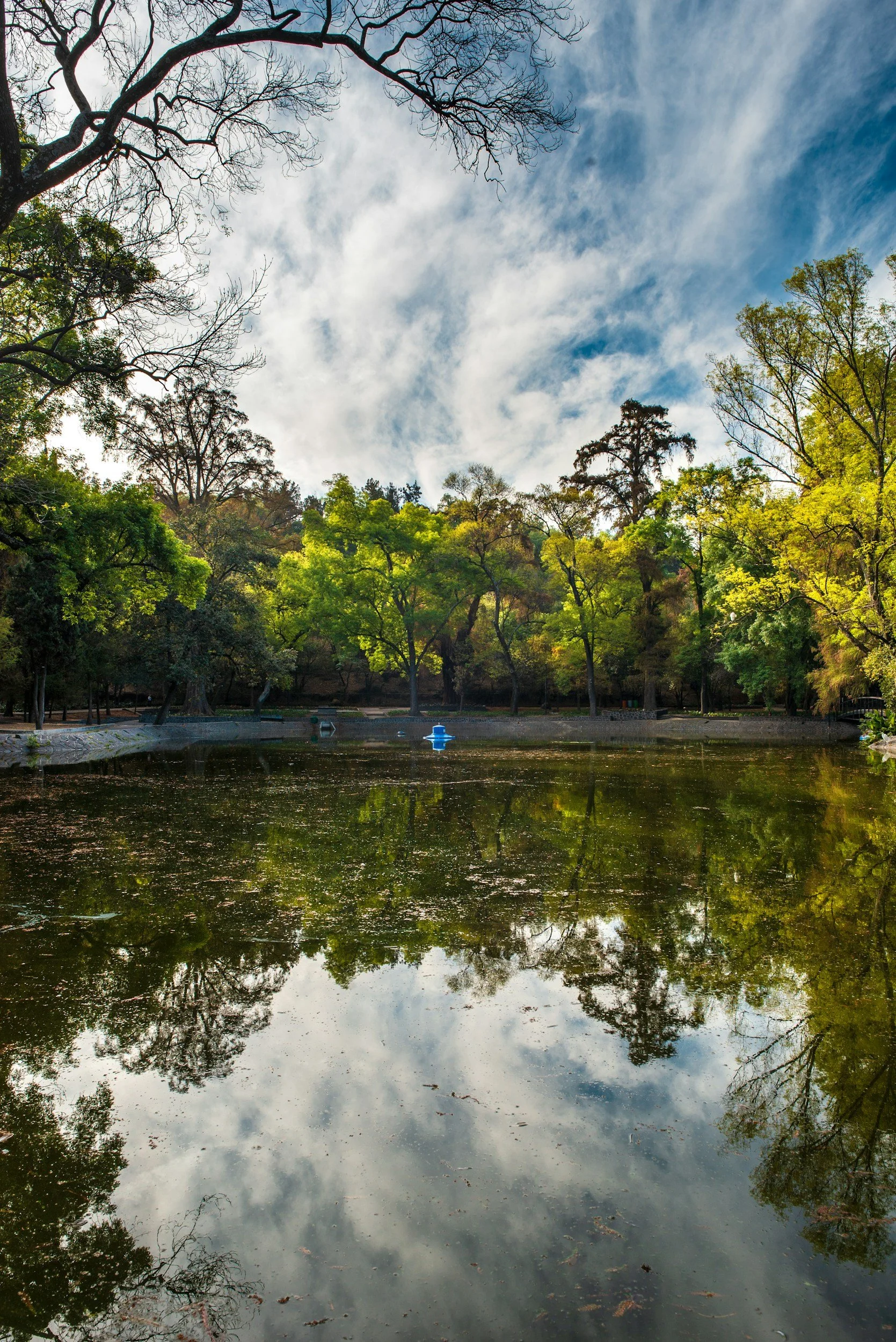 Scenic landscape with a reflective pond, surrounded by tall, leafy trees and a cloudy sky overhead.