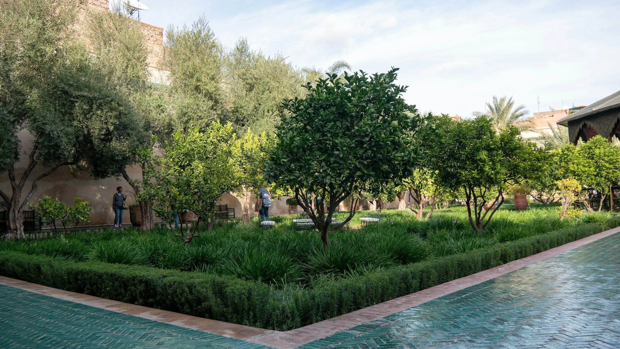 Lush garden with trees, hedges, and tiled pathways