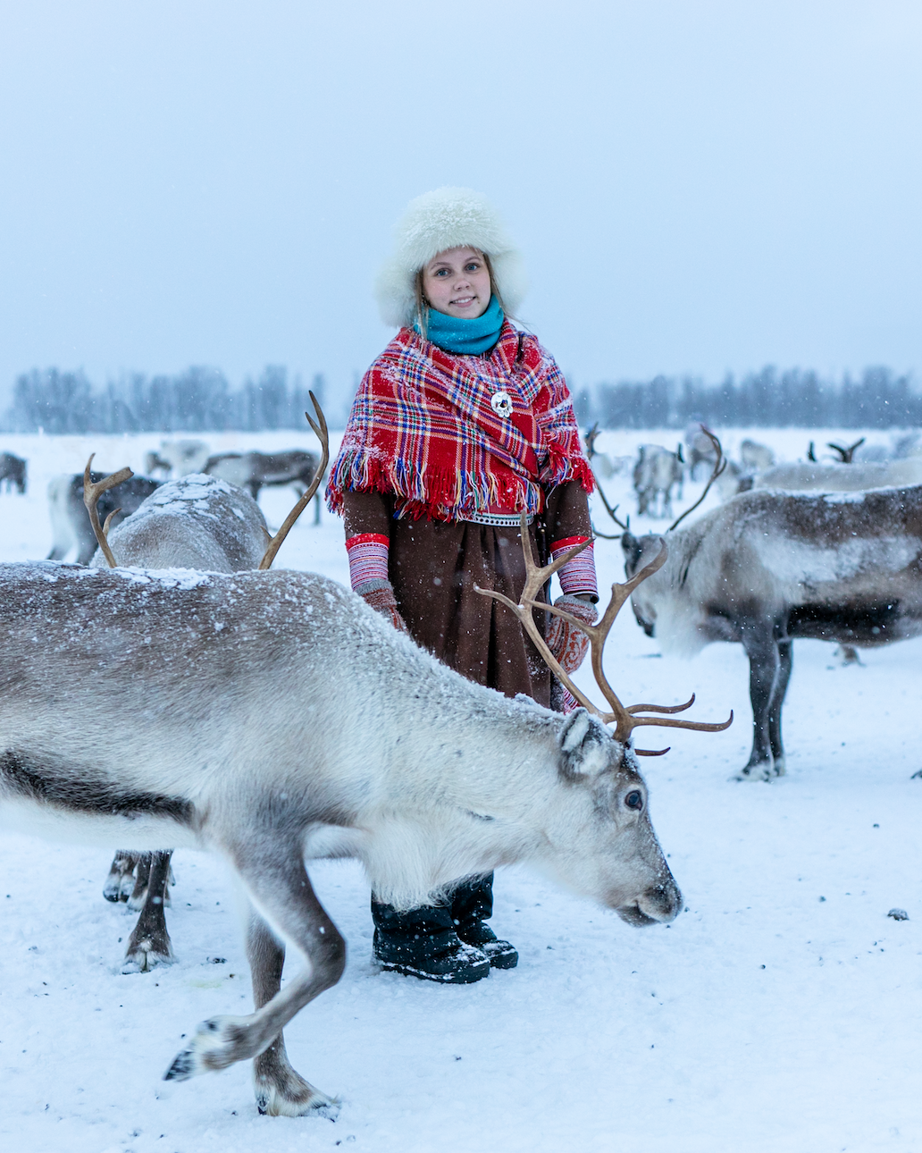 Norway-Luxury-Tour-Private-Travel-Arctic-Circle-9.png