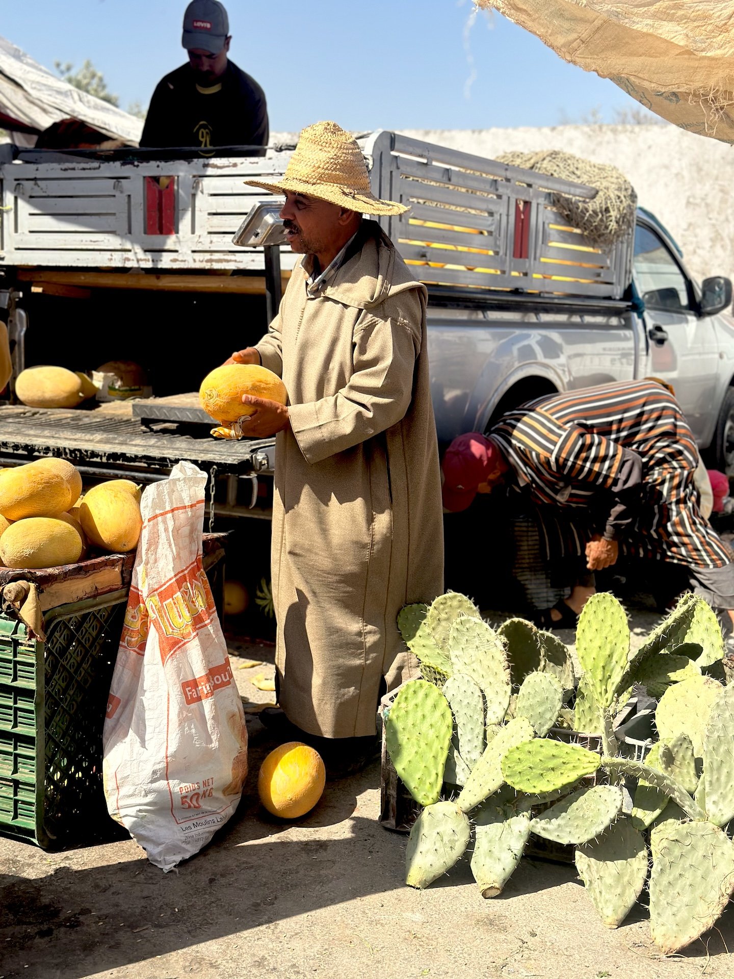 Sarah-Casewit-Grocery-Stores-Maximalism-Travel-Trend-9.jpeg