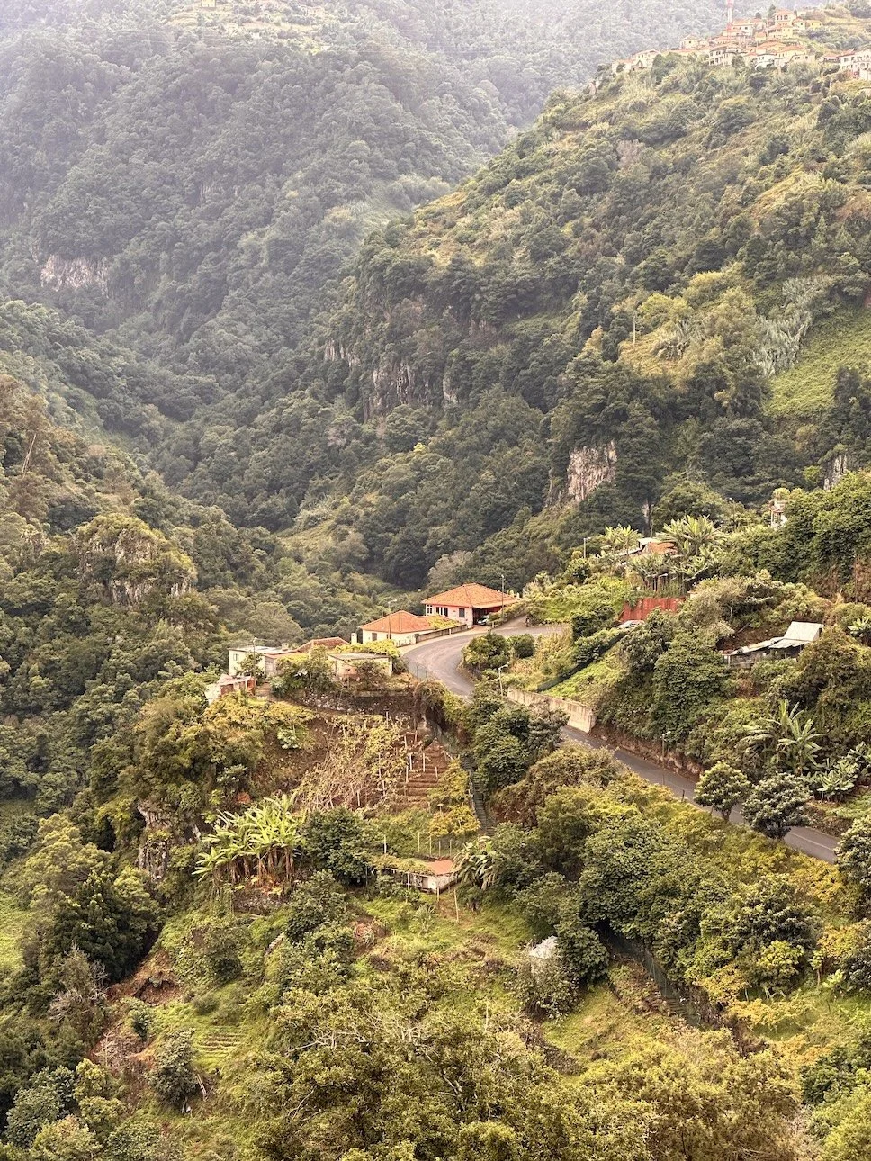 Most Beautiful Hikes in Madeira