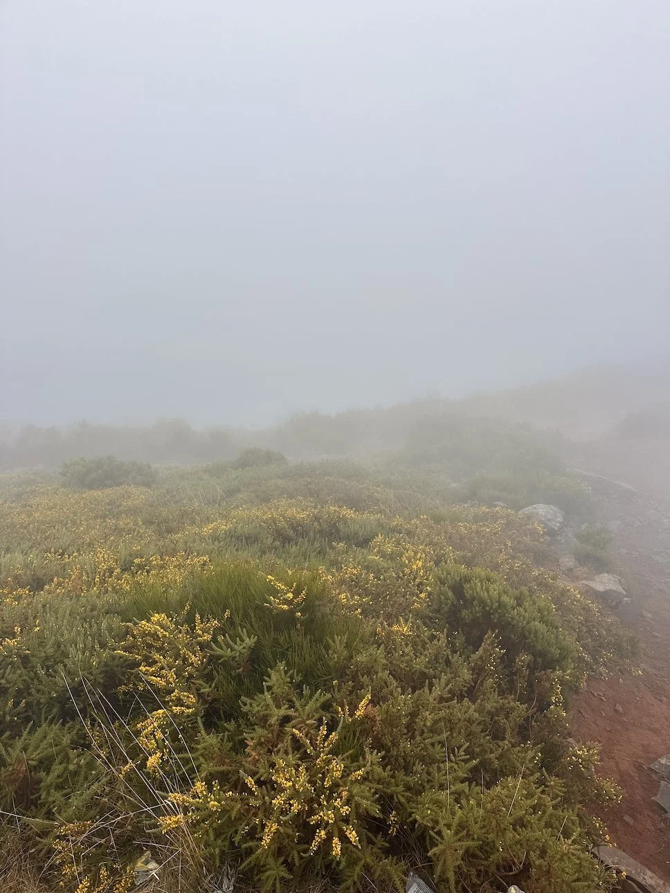 Best-Hikes-Madeira-Portugal-Travel-7.jpeg