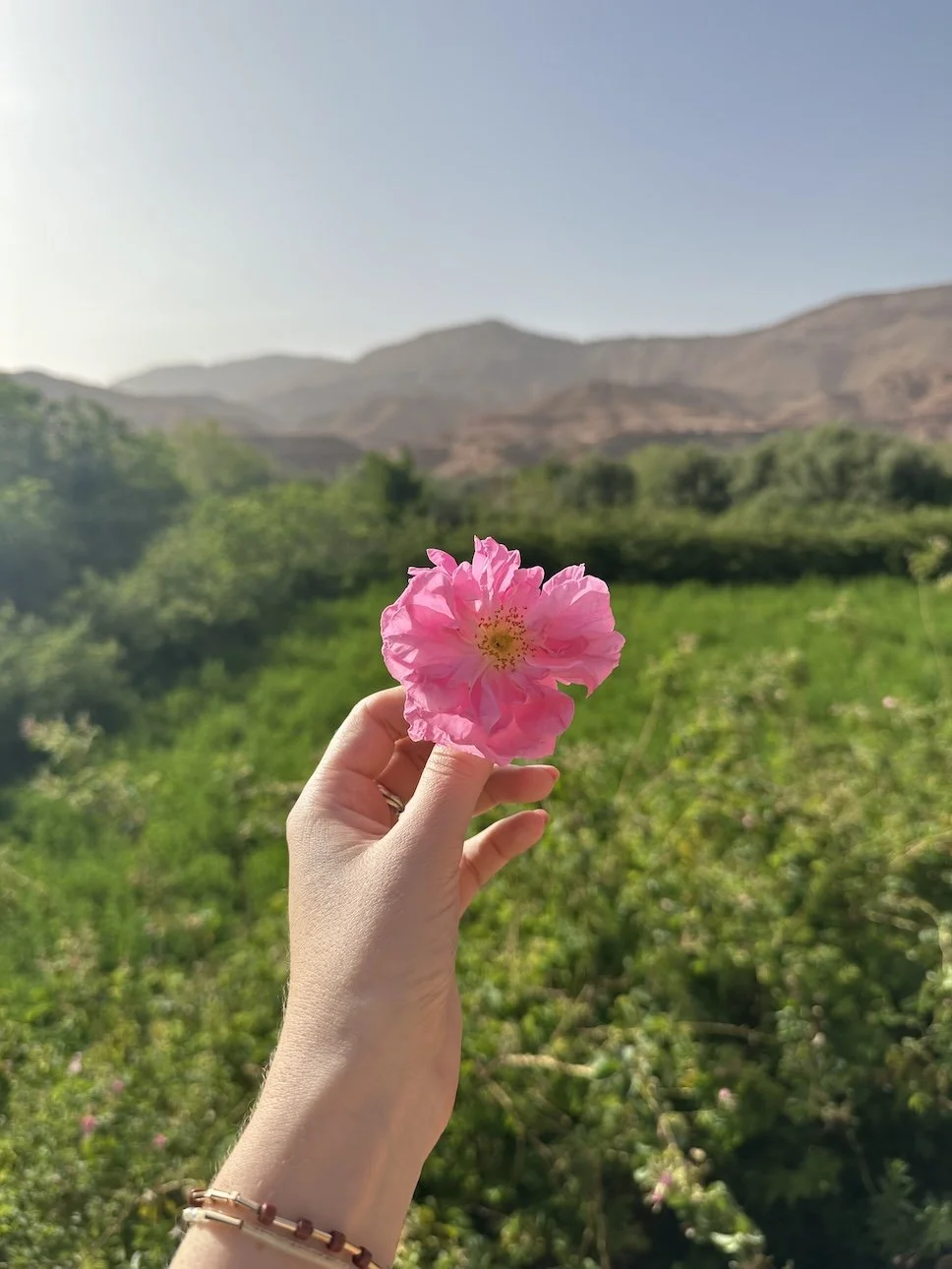 Best-Morocco-Itinerary-Tour-Luxury-19.jpeg