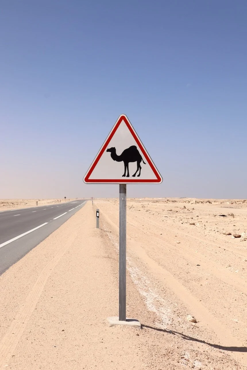 Dakhla Morocco Itinerary Camel Sign