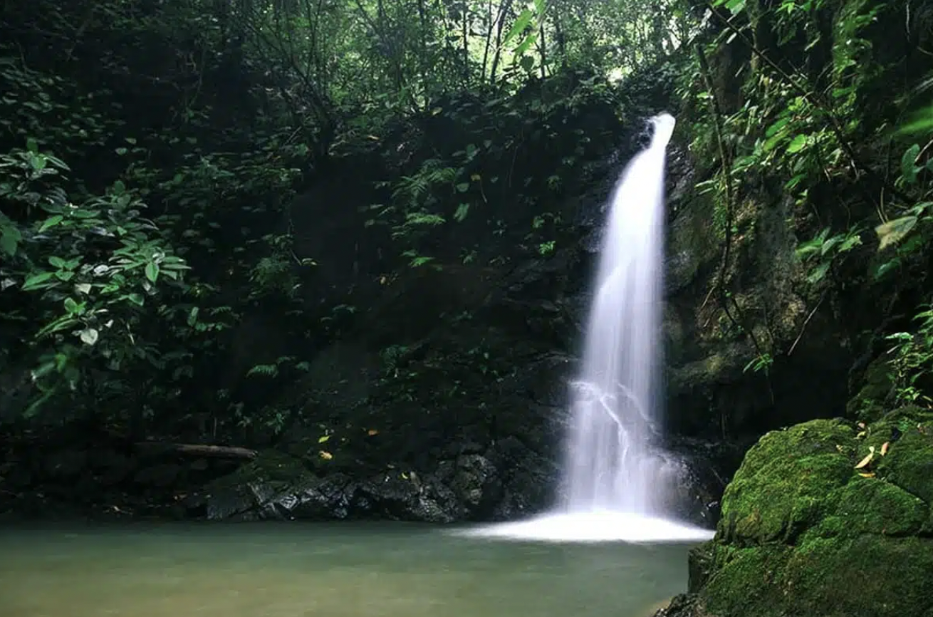 Screen Shot 2025-06-04 at 12.14.47 PM.png