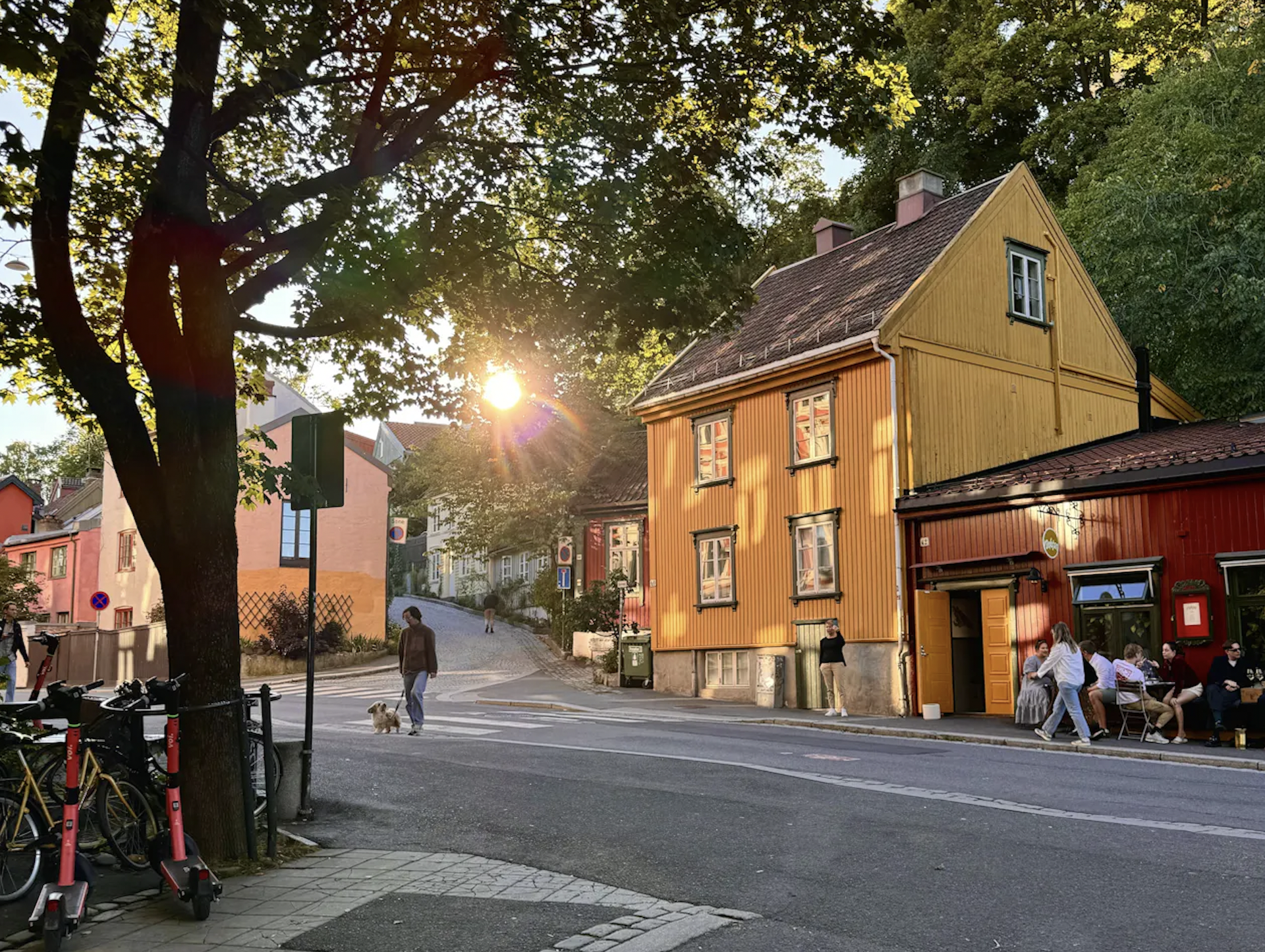 A street scene with colorful houses, people sitting outside a cafe, a person walking a dog, bicycles parked, and the sun setting behind trees.