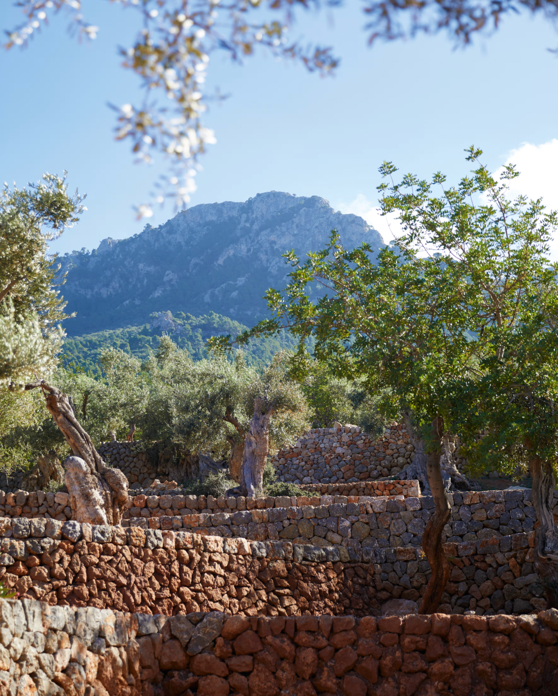 Mountain with trees and stone terraces in foreground under partly cloudy sky.