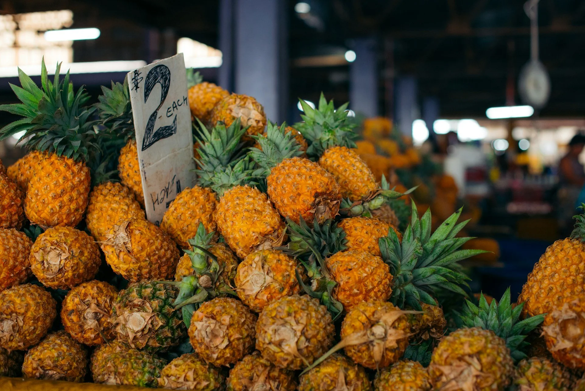 Lodge NorthernLights Luxury Iceland Adventure Private Tour