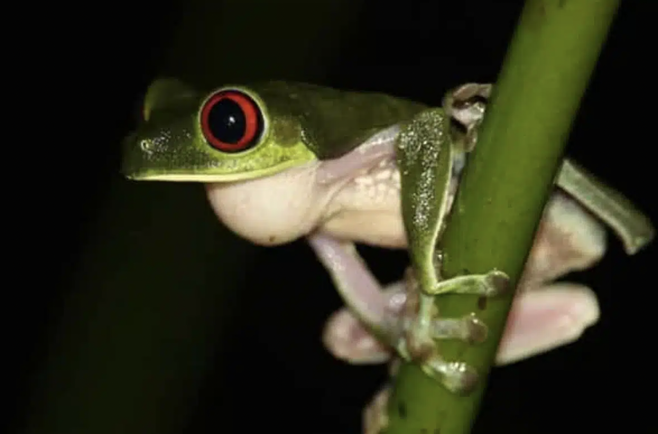 Screen Shot 2025-06-04 at 12.14.54 PM.png