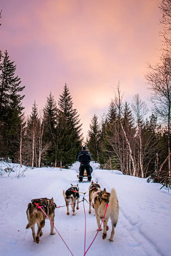 Sarah-Casewit-Tyson-Sadler-Norway-Dogsledding.jpg